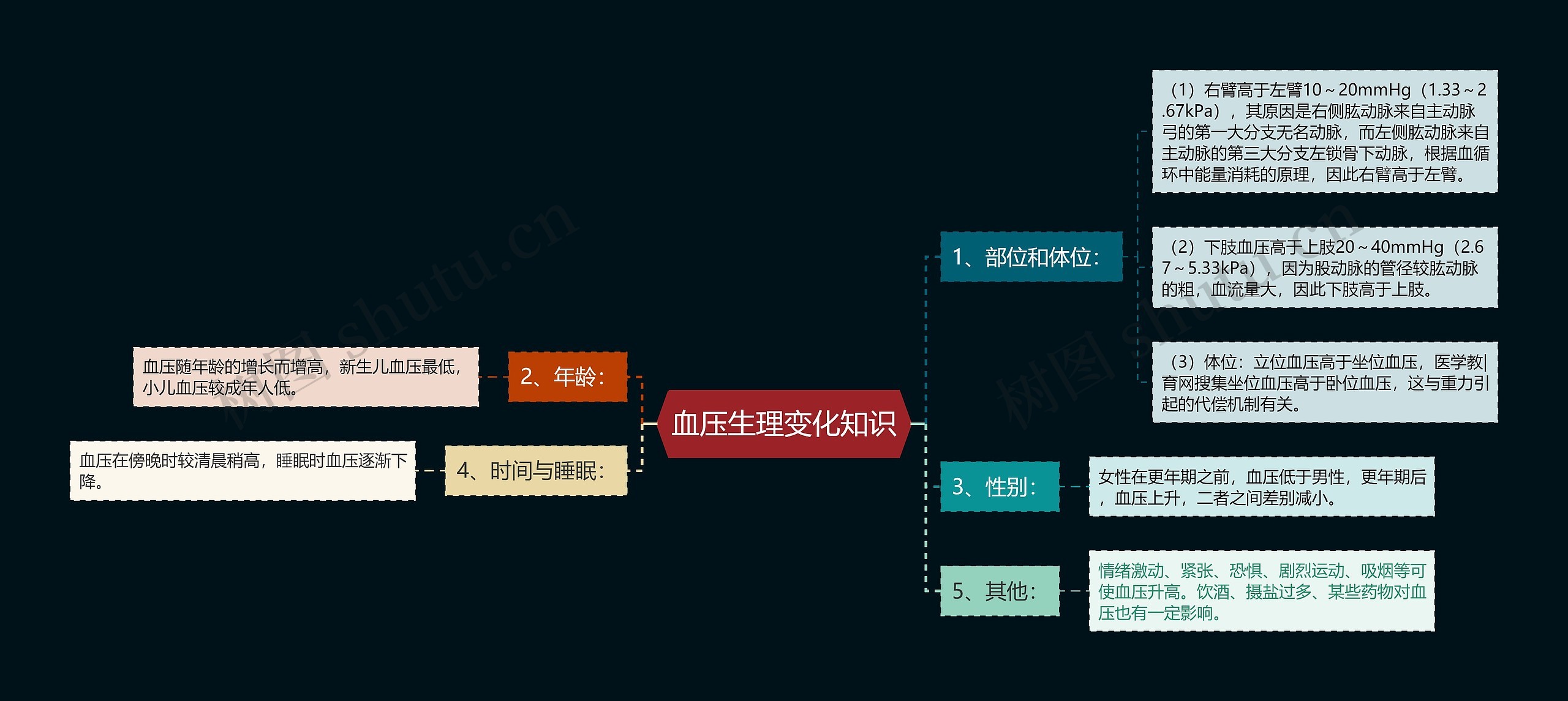 血压生理变化知识思维导图