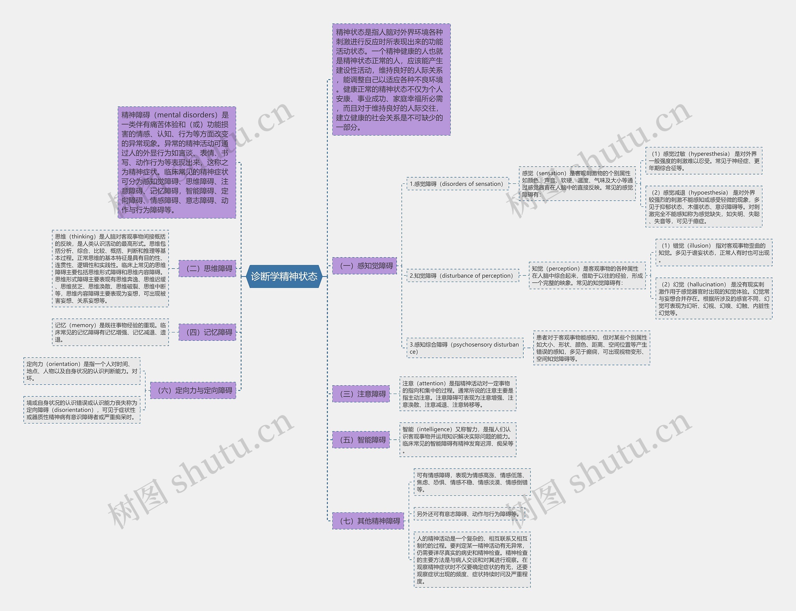 诊断学精神状态思维导图