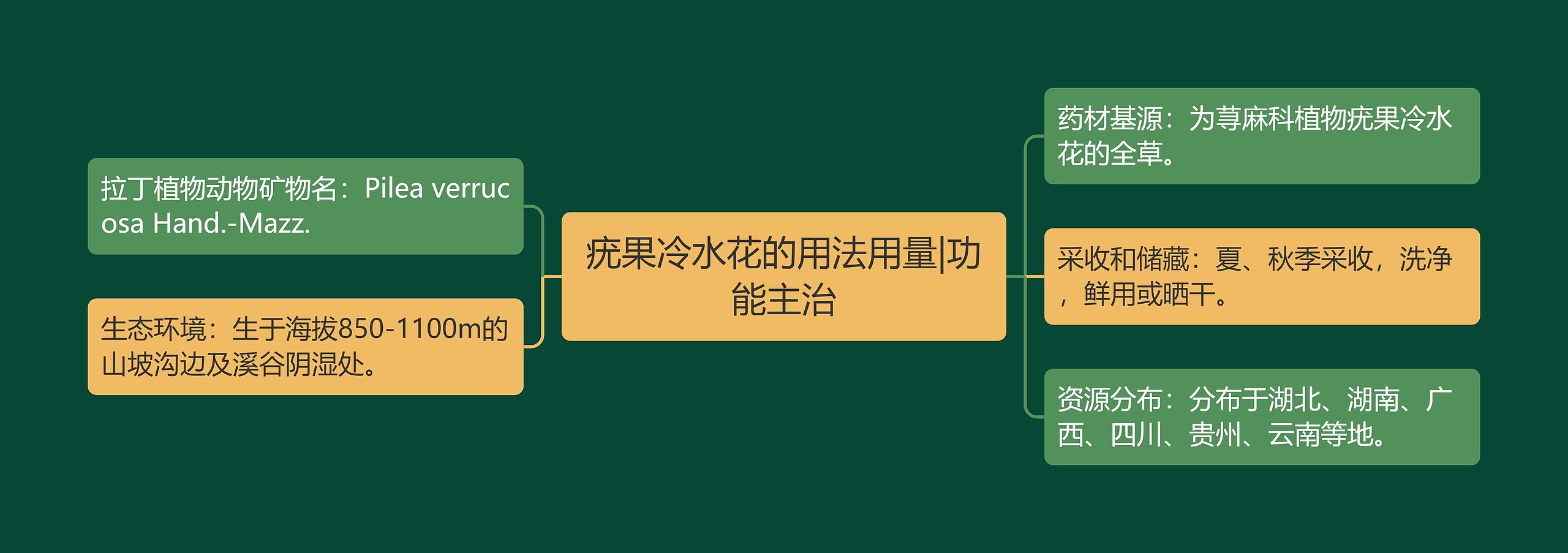 疣果冷水花的用法用量|功能主治 疣果冷水花的用法用量|功能主治