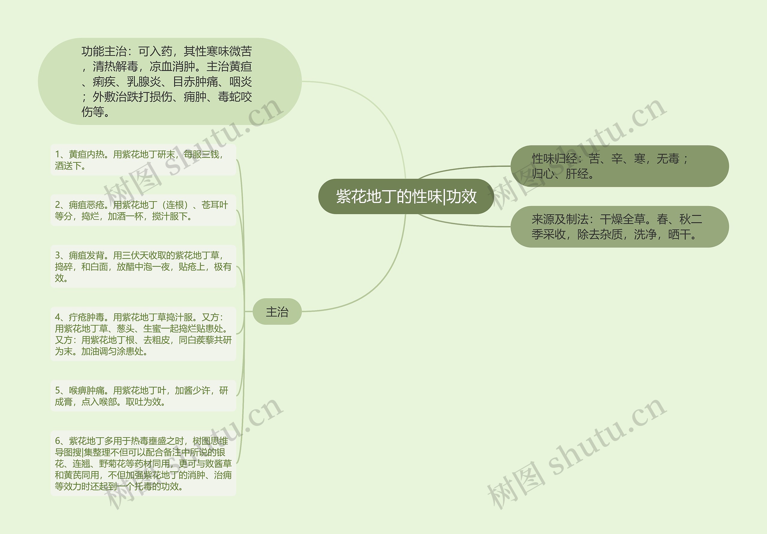 紫花地丁的性味|功效思维导图