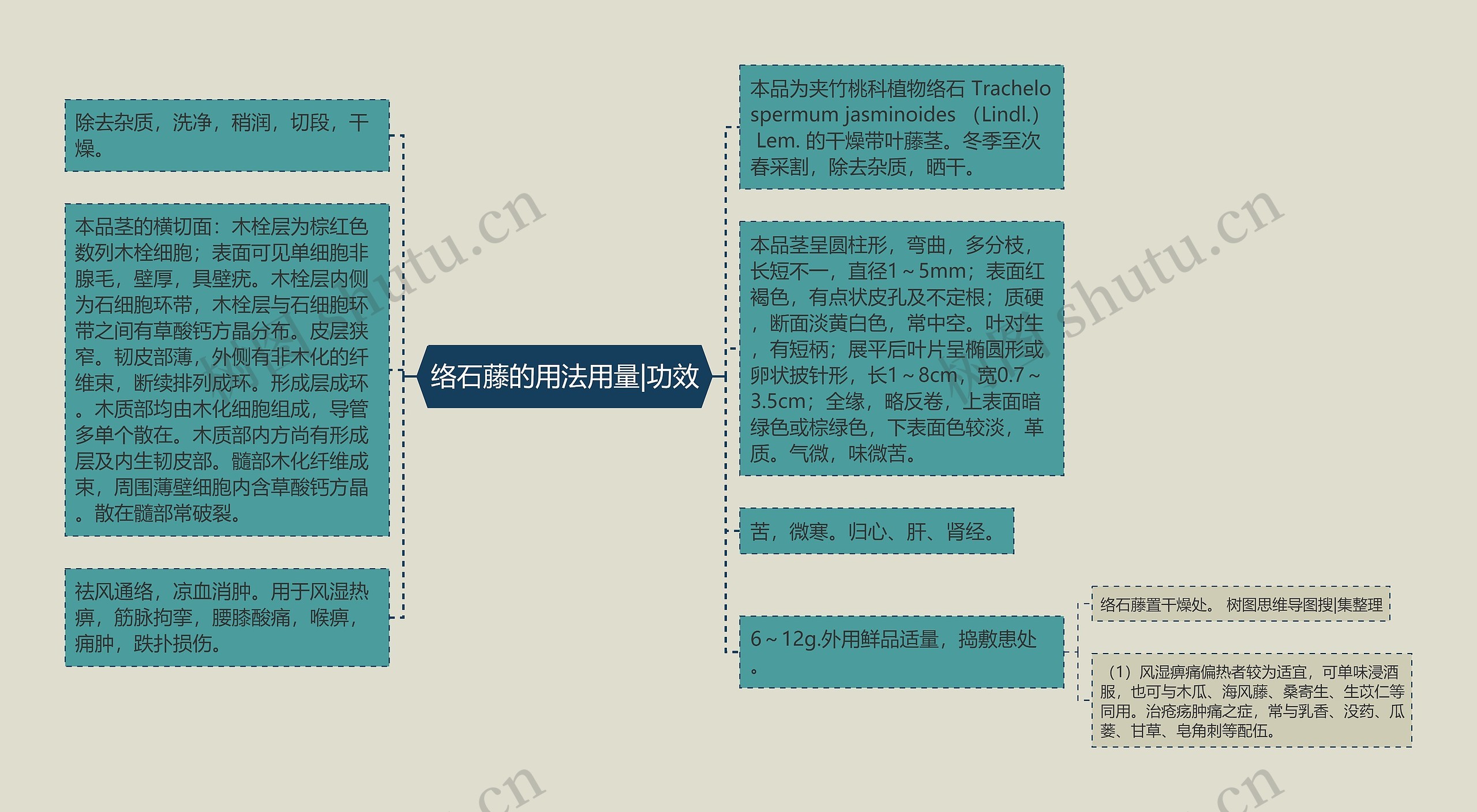 络石藤的用法用量|功效思维导图