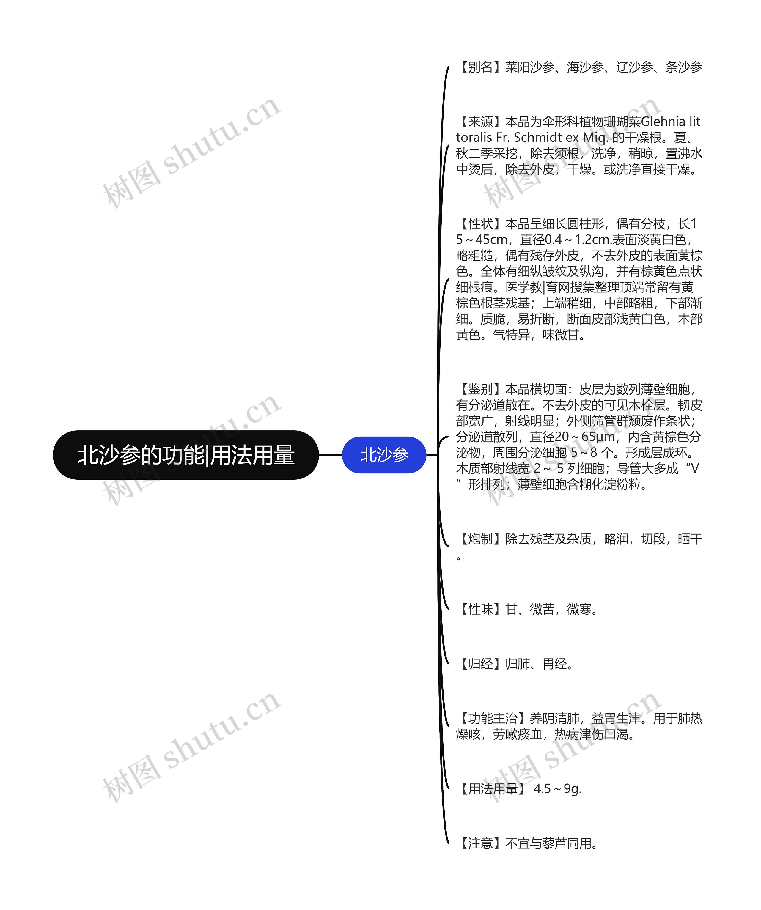 北沙参的功能|用法用量思维导图