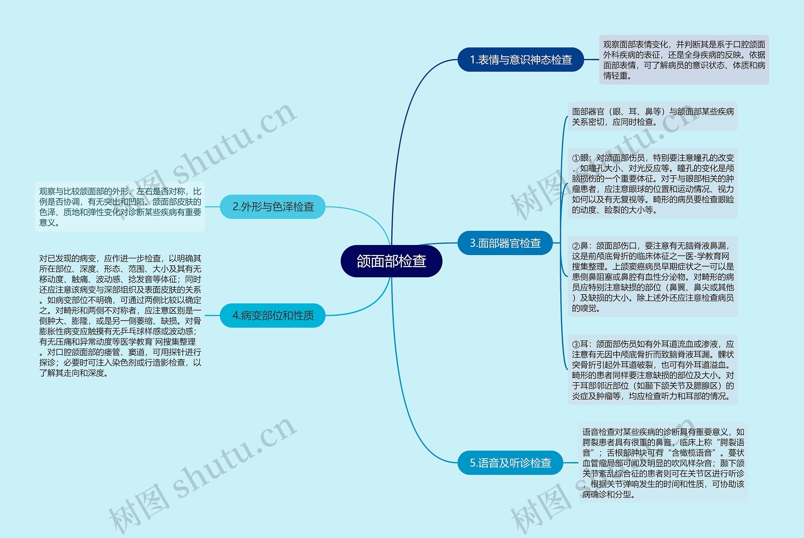 颌面部检查 颌面部检查