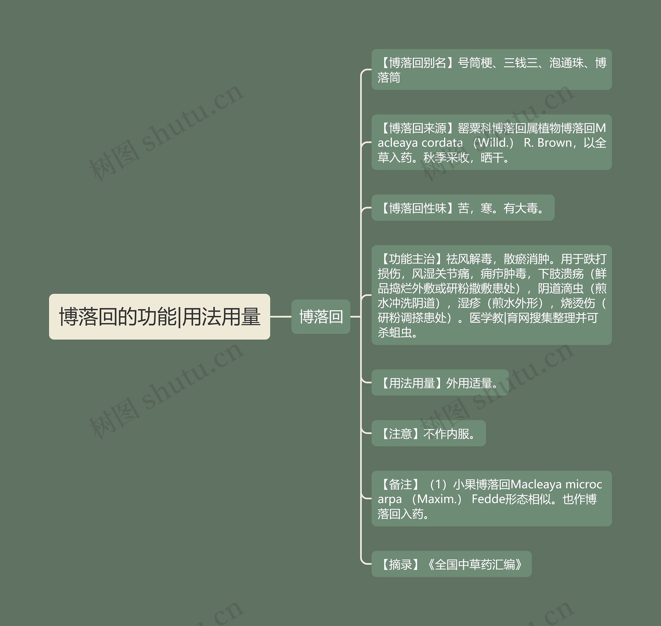 博落回的功能|用法用量 博落回的功能|用法用量
