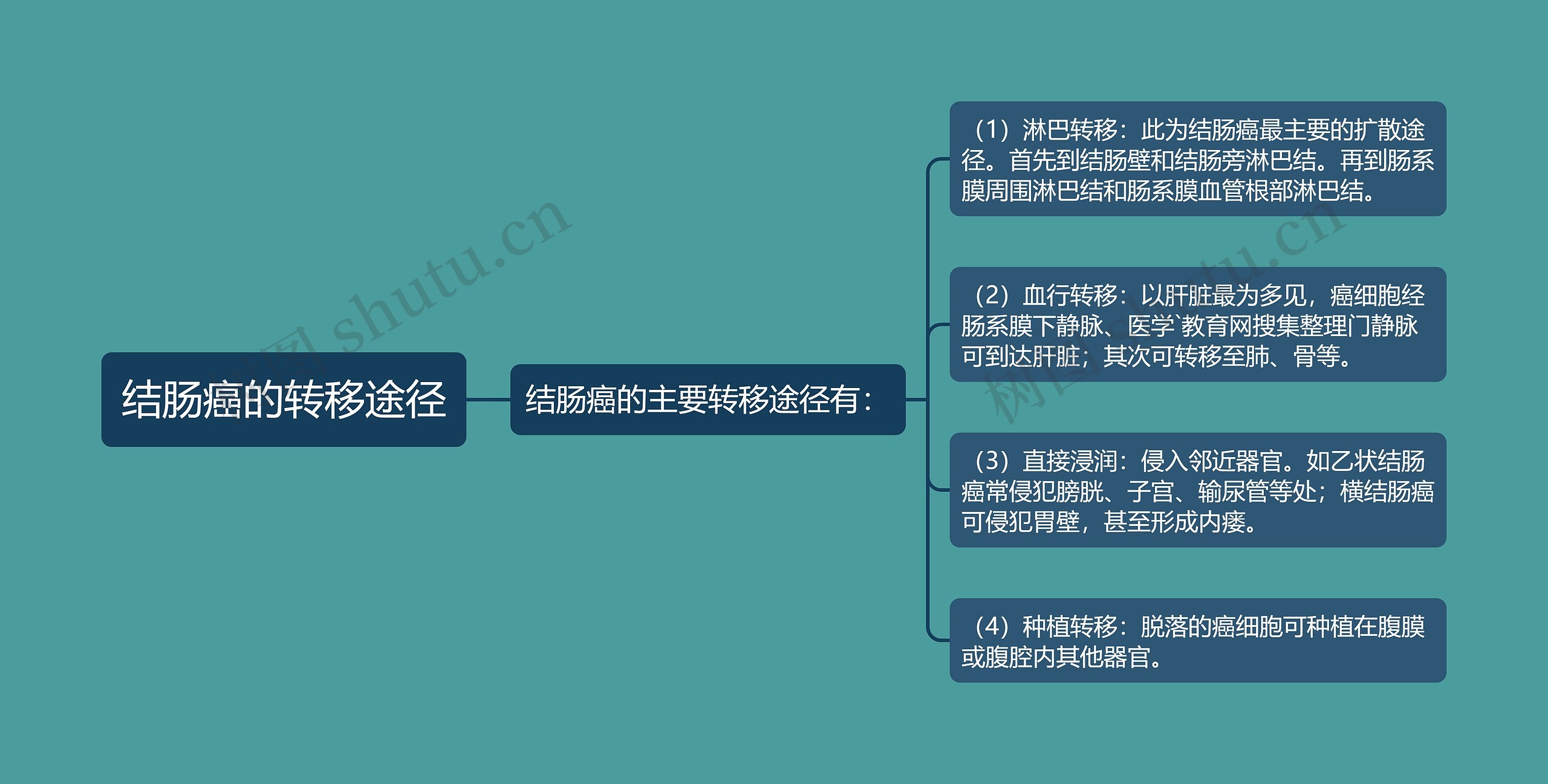 结肠癌的转移途径思维导图