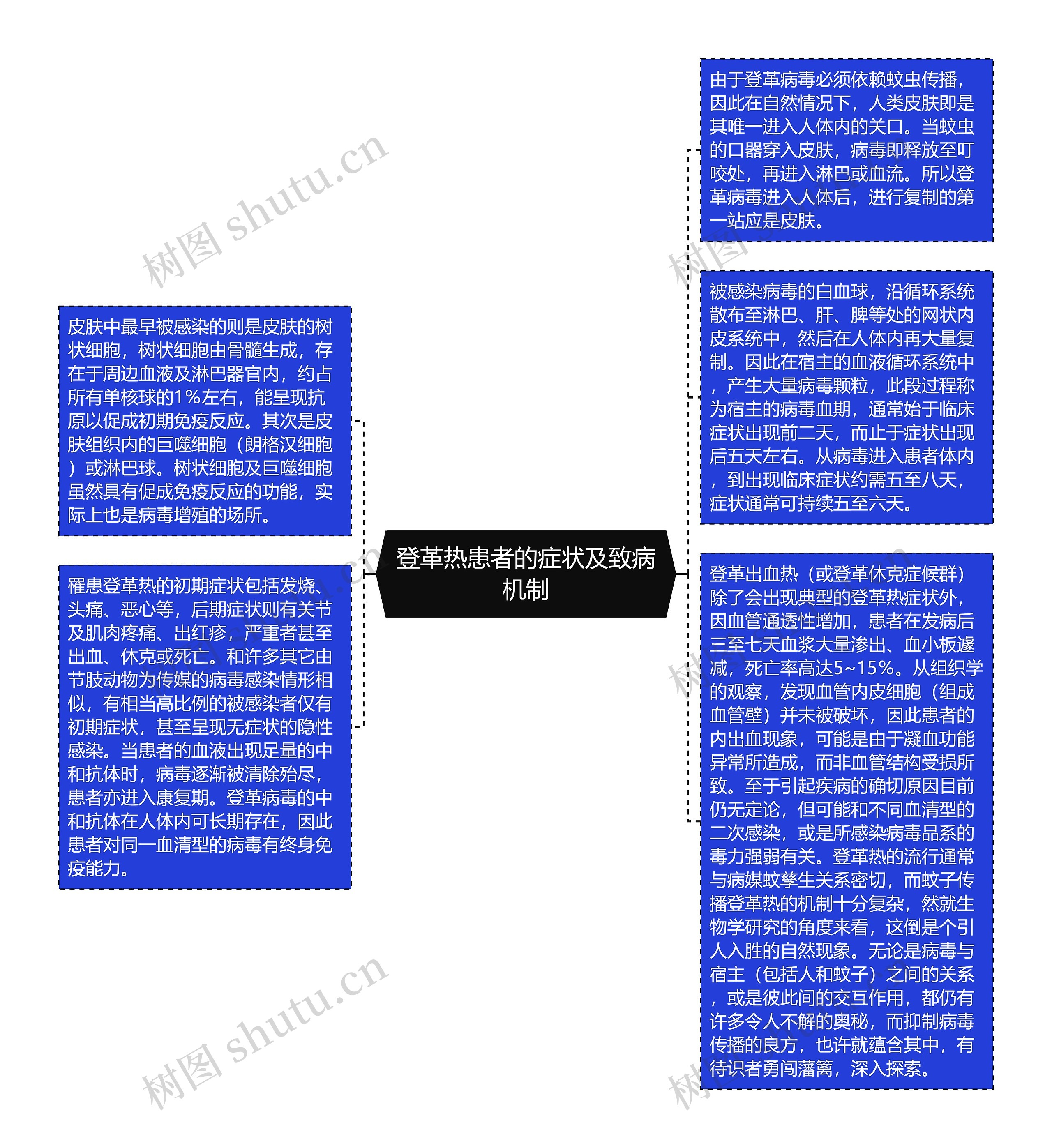 登革热患者的症状及致病机制思维导图