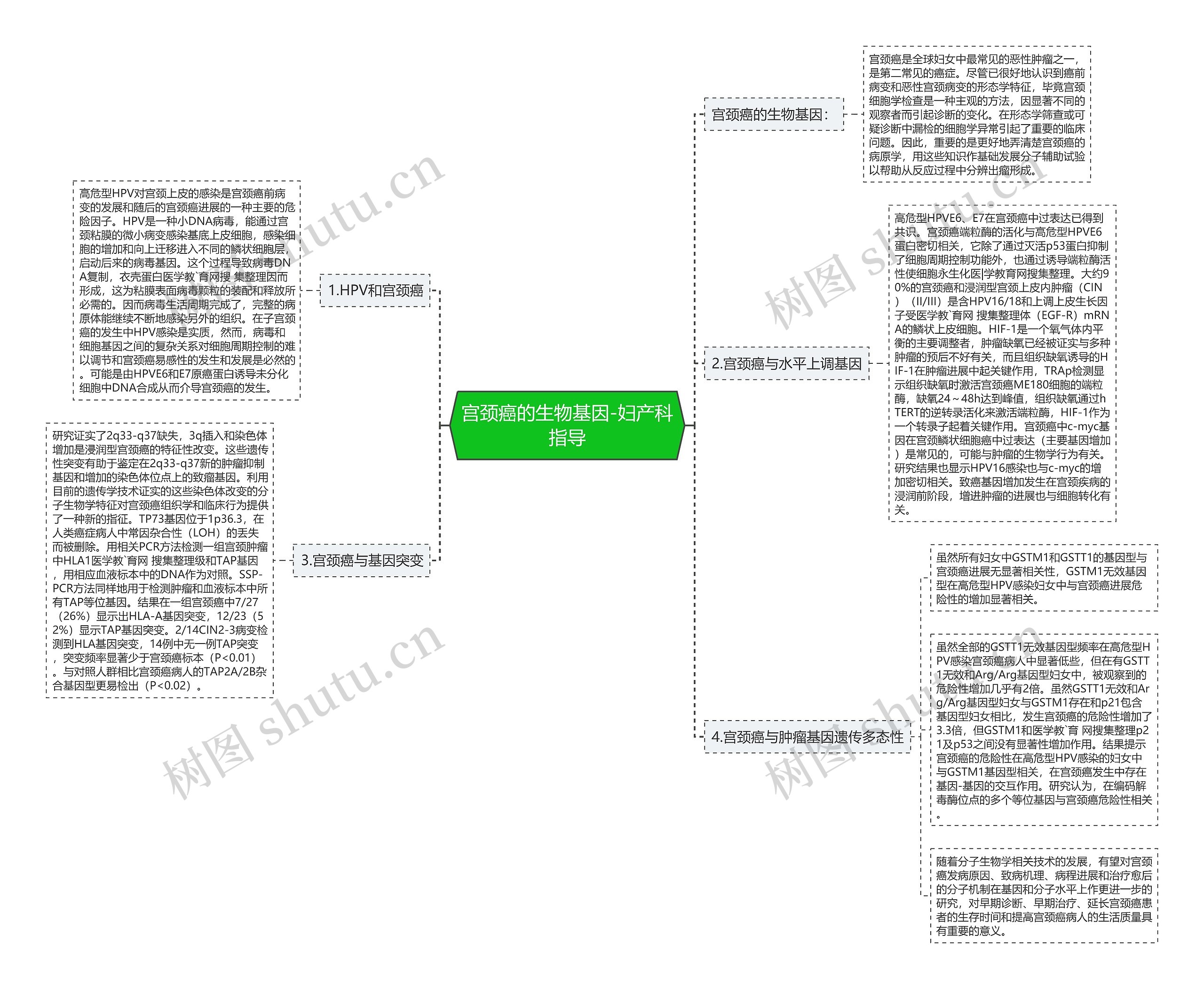 宫颈癌的生物基因-妇产科指导思维导图