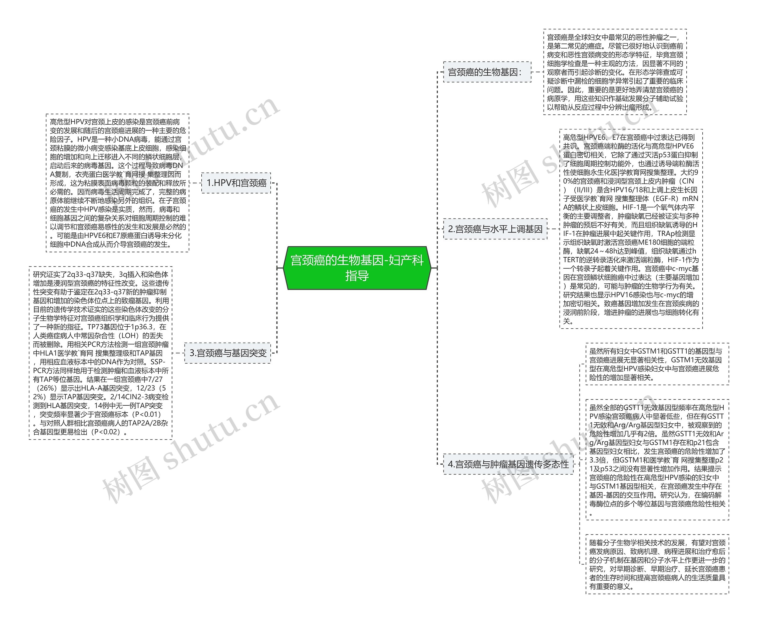 宫颈癌的生物基因-妇产科指导 宫颈癌的生物基因-妇产科指导