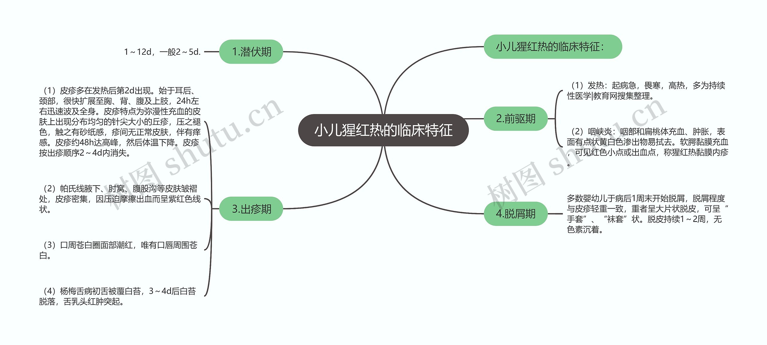 小儿猩红热的临床特征思维导图