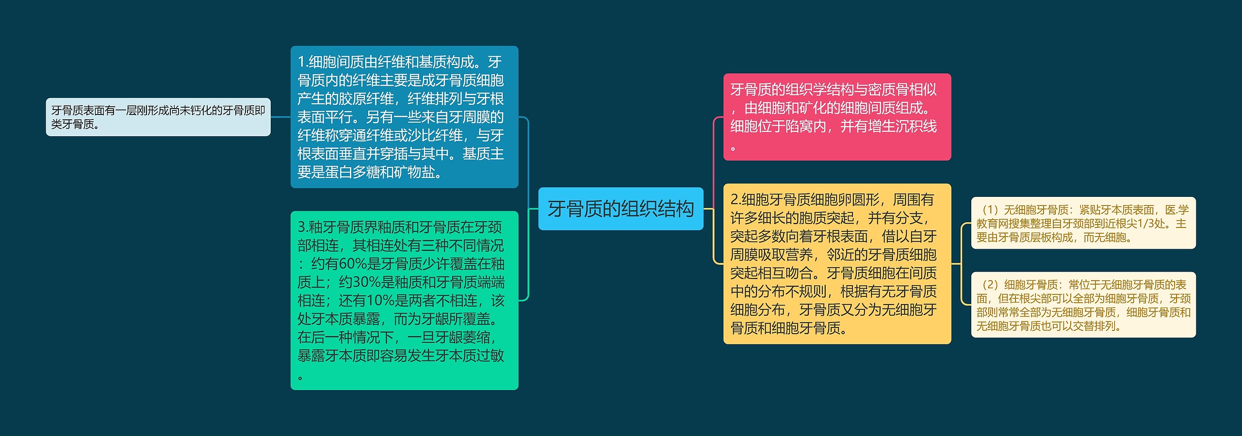 牙骨质的组织结构思维导图