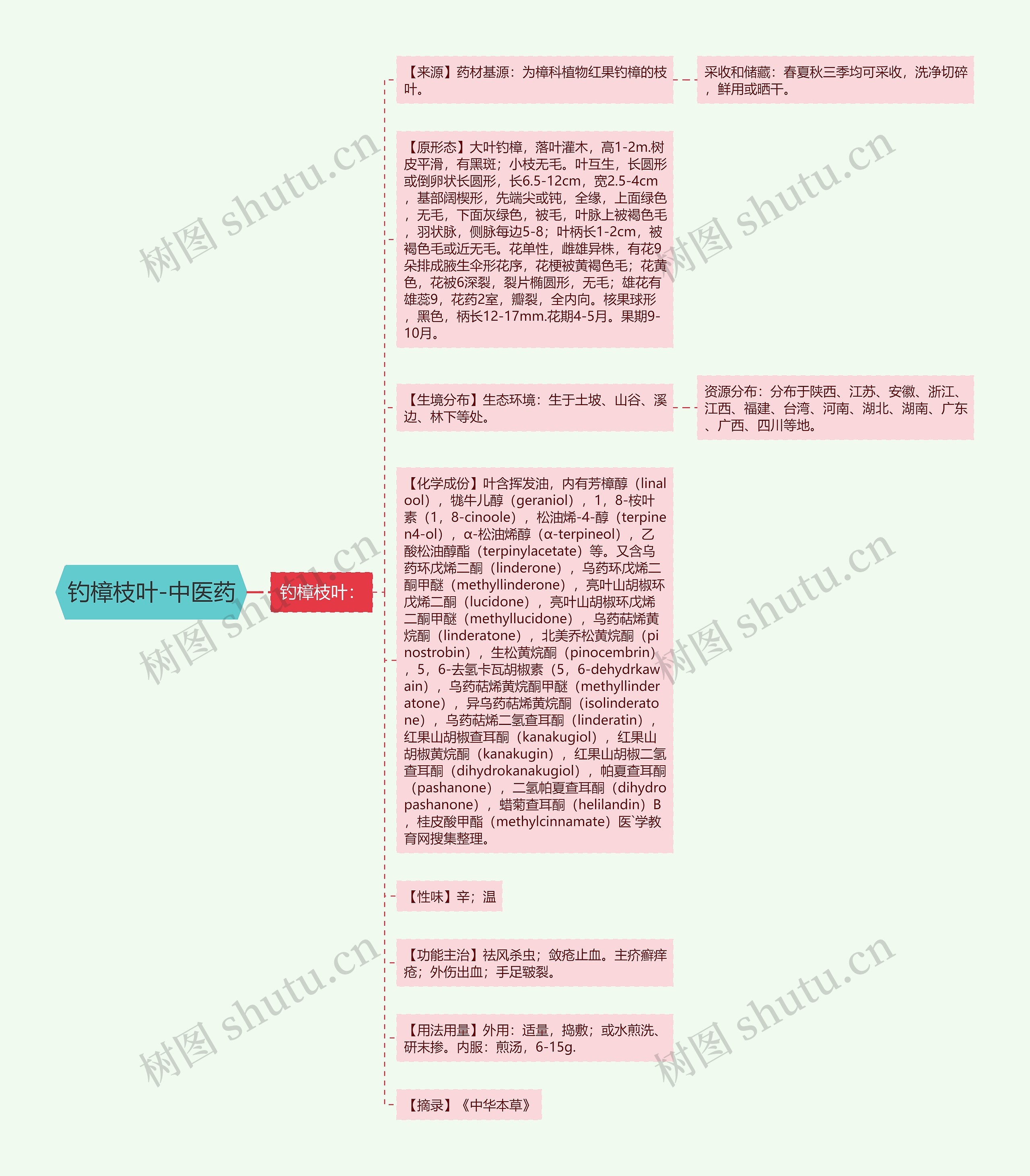 钓樟枝叶-中医药思维导图