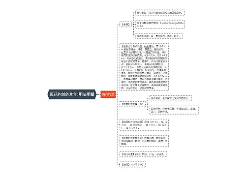 斑花杓兰的功能|用法用量