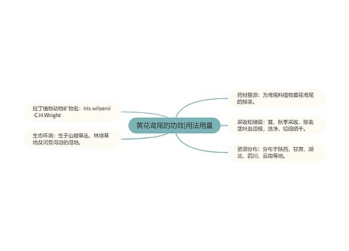 黄花鸢尾的功效|用法用量