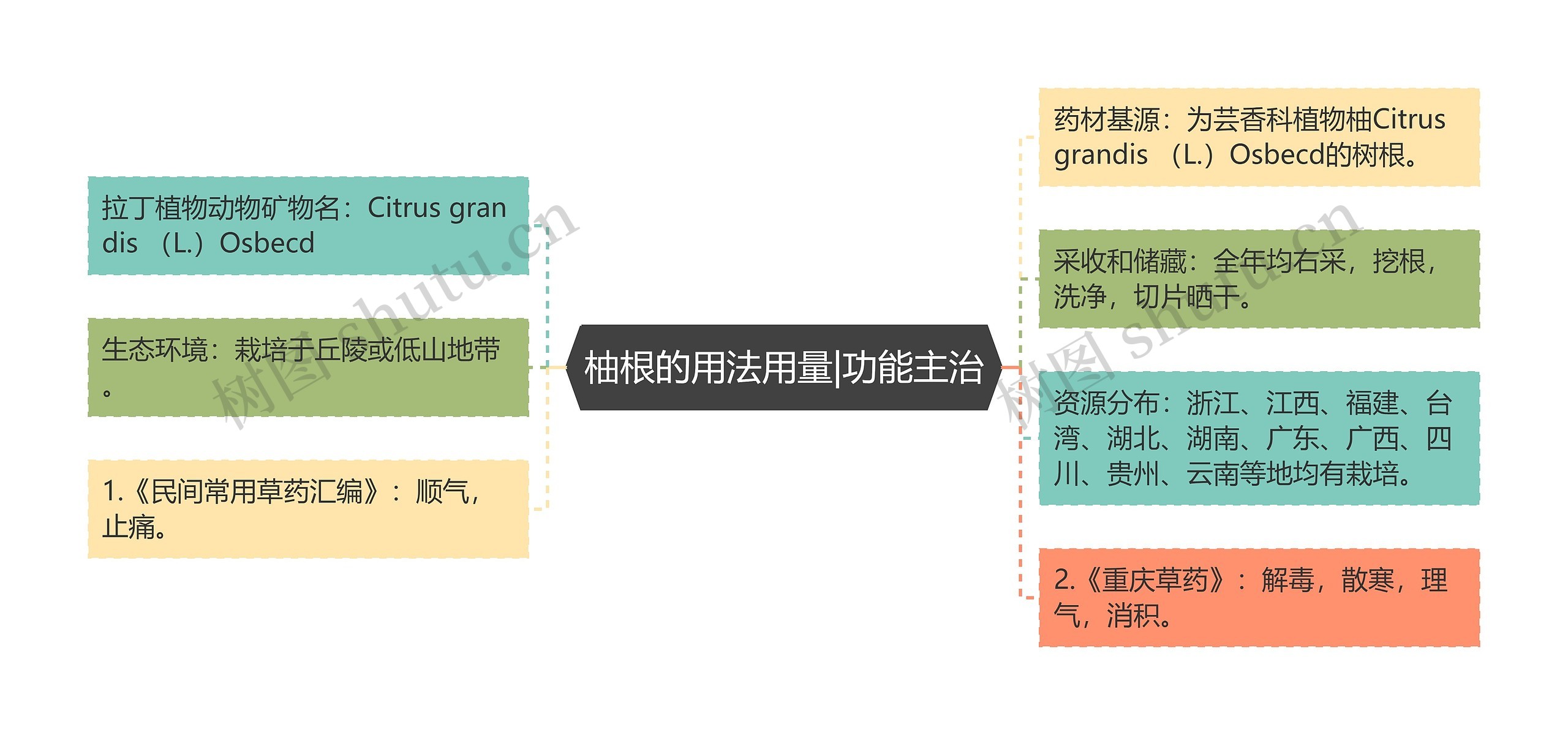 柚根的用法用量|功能主治思维导图