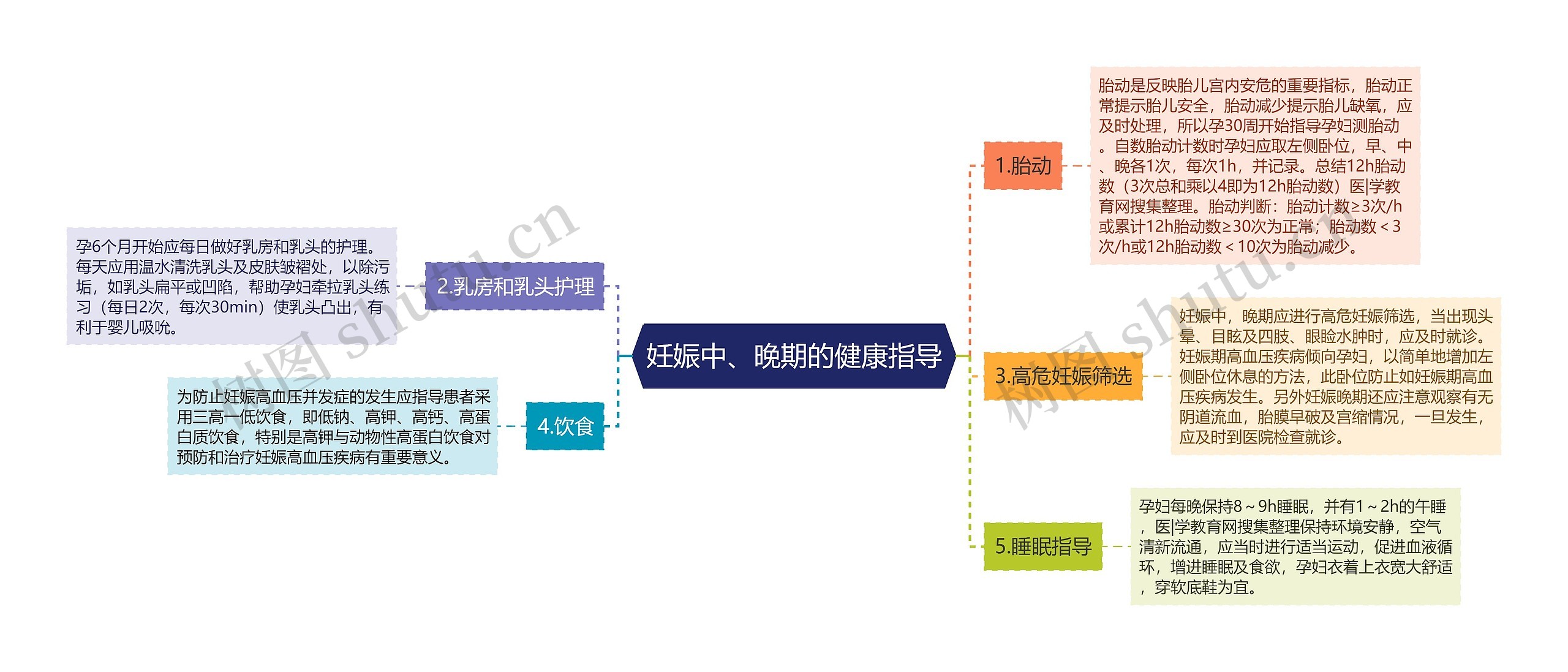 妊娠中、晚期的健康指导思维导图