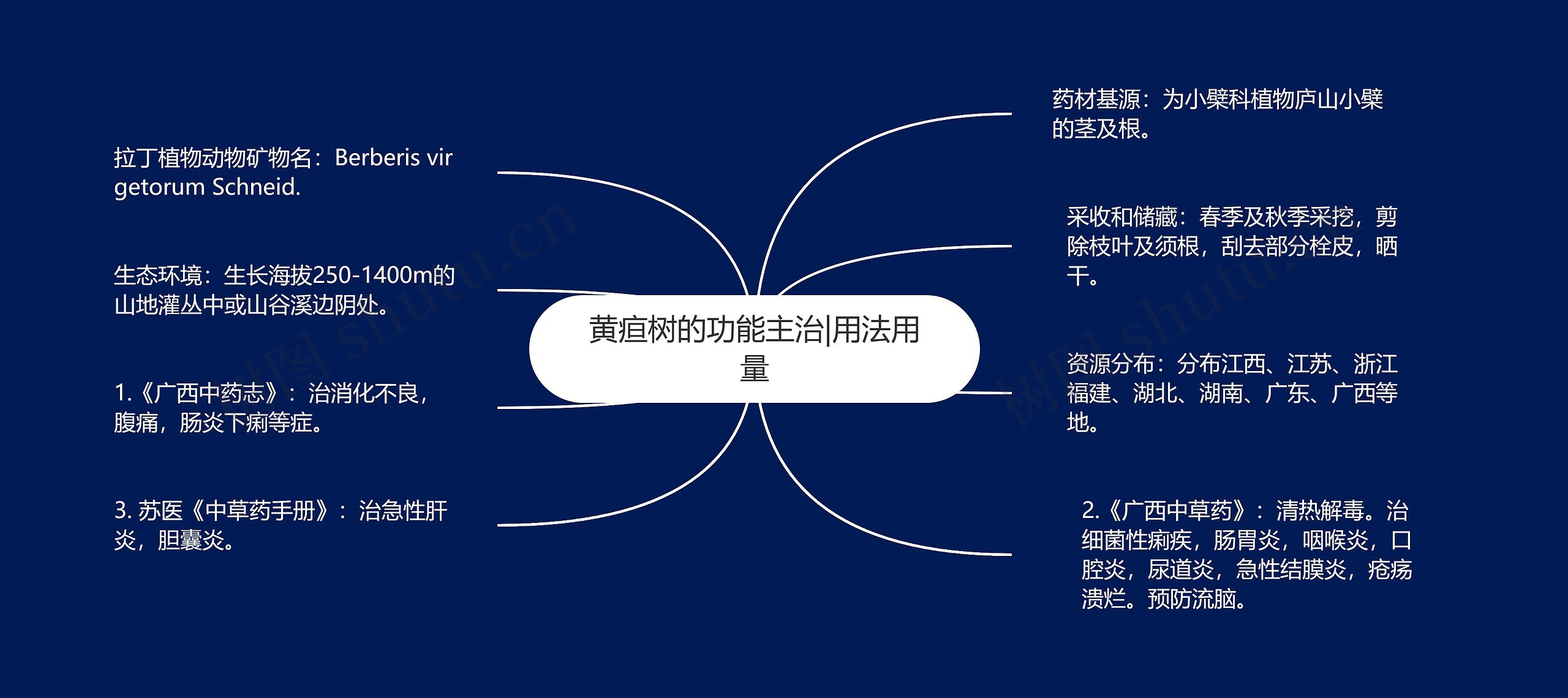 黄疸树的功能主治|用法用量思维导图