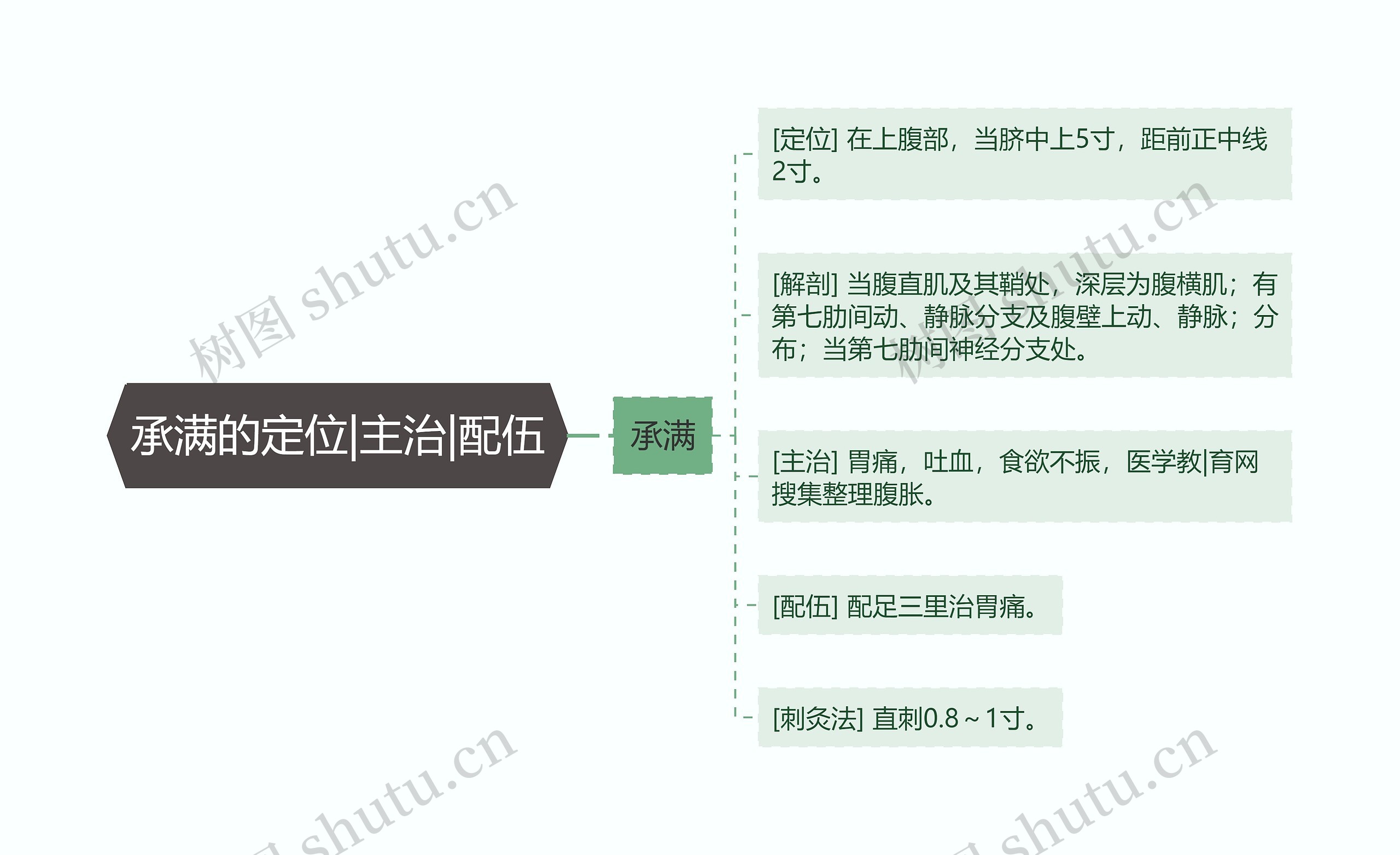 承满的定位|主治|配伍思维导图