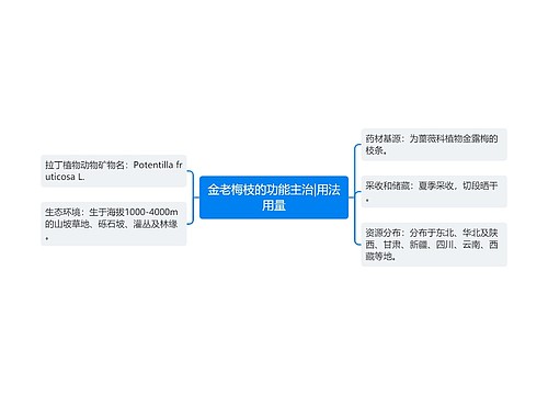 金老梅枝的功能主治|用法用量