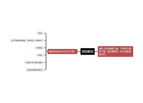 颊的解剖