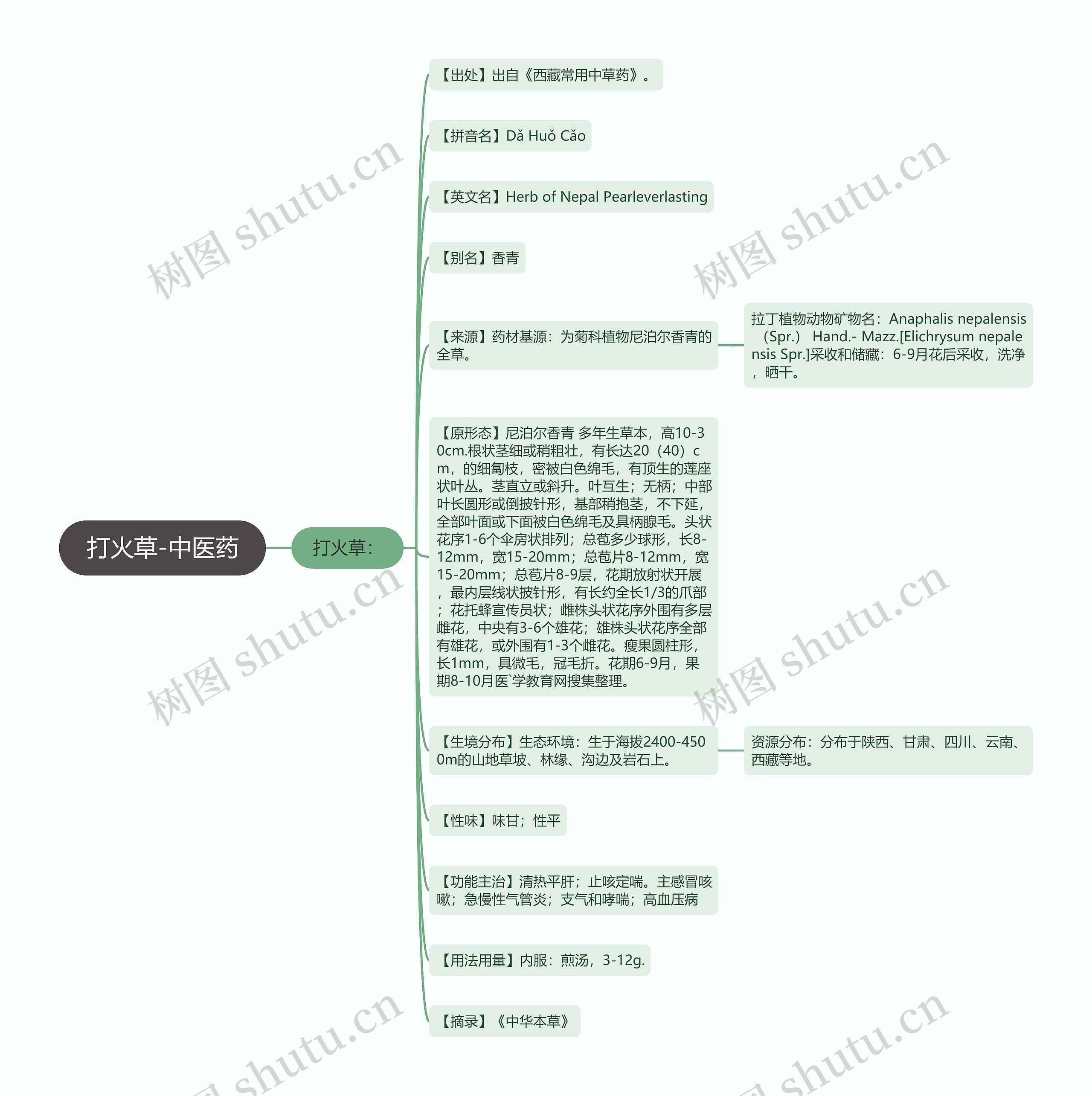 打火草-中医药 打火草-中医药