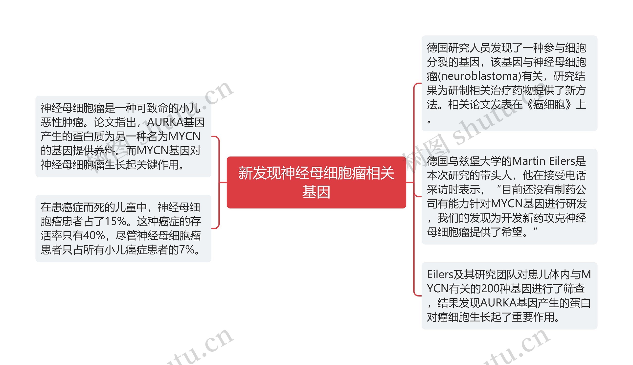 新发现神经母细胞瘤相关基因