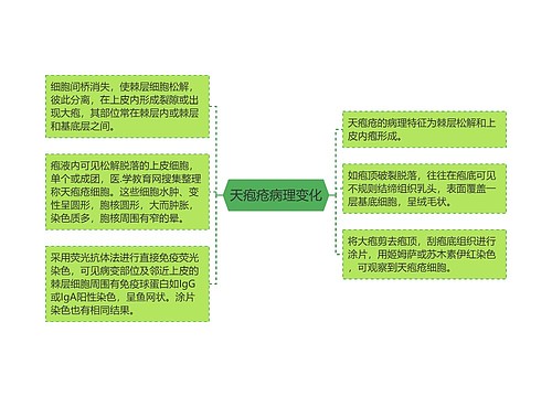 天疱疮病理变化