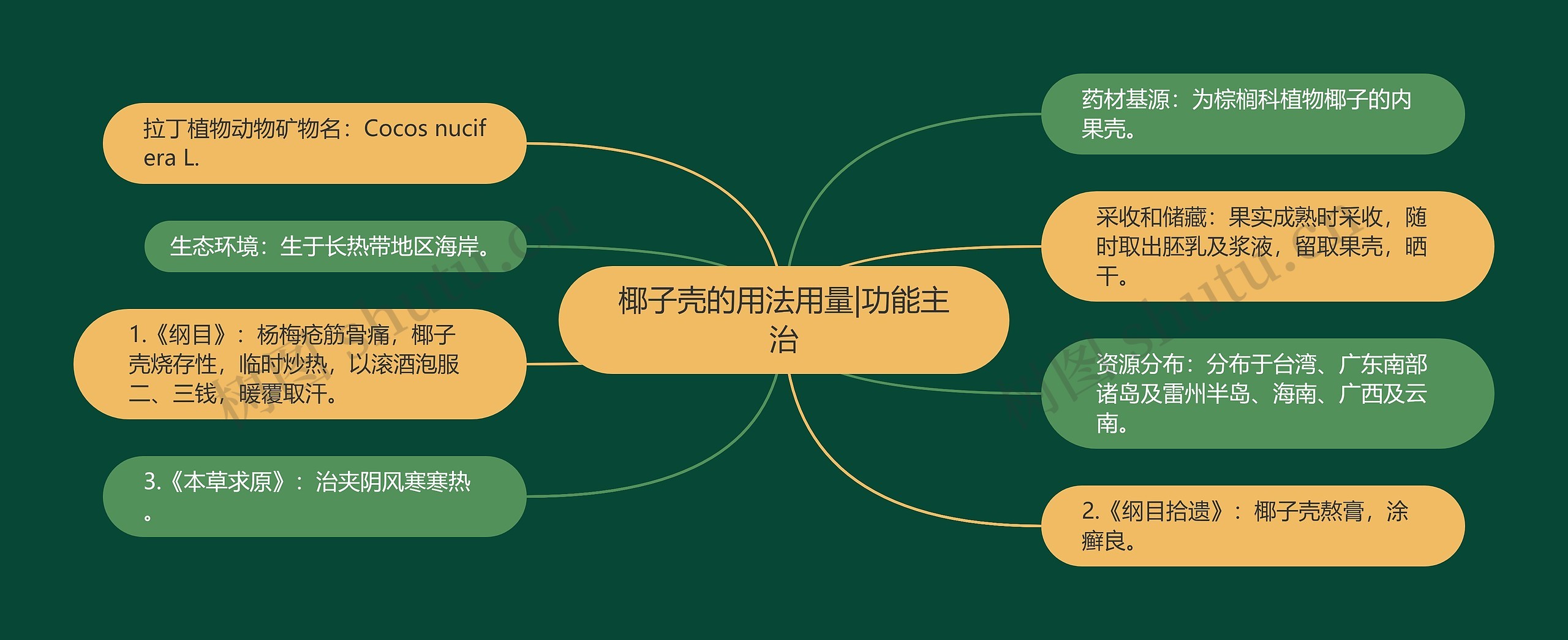 椰子壳的用法用量|功能主治思维导图