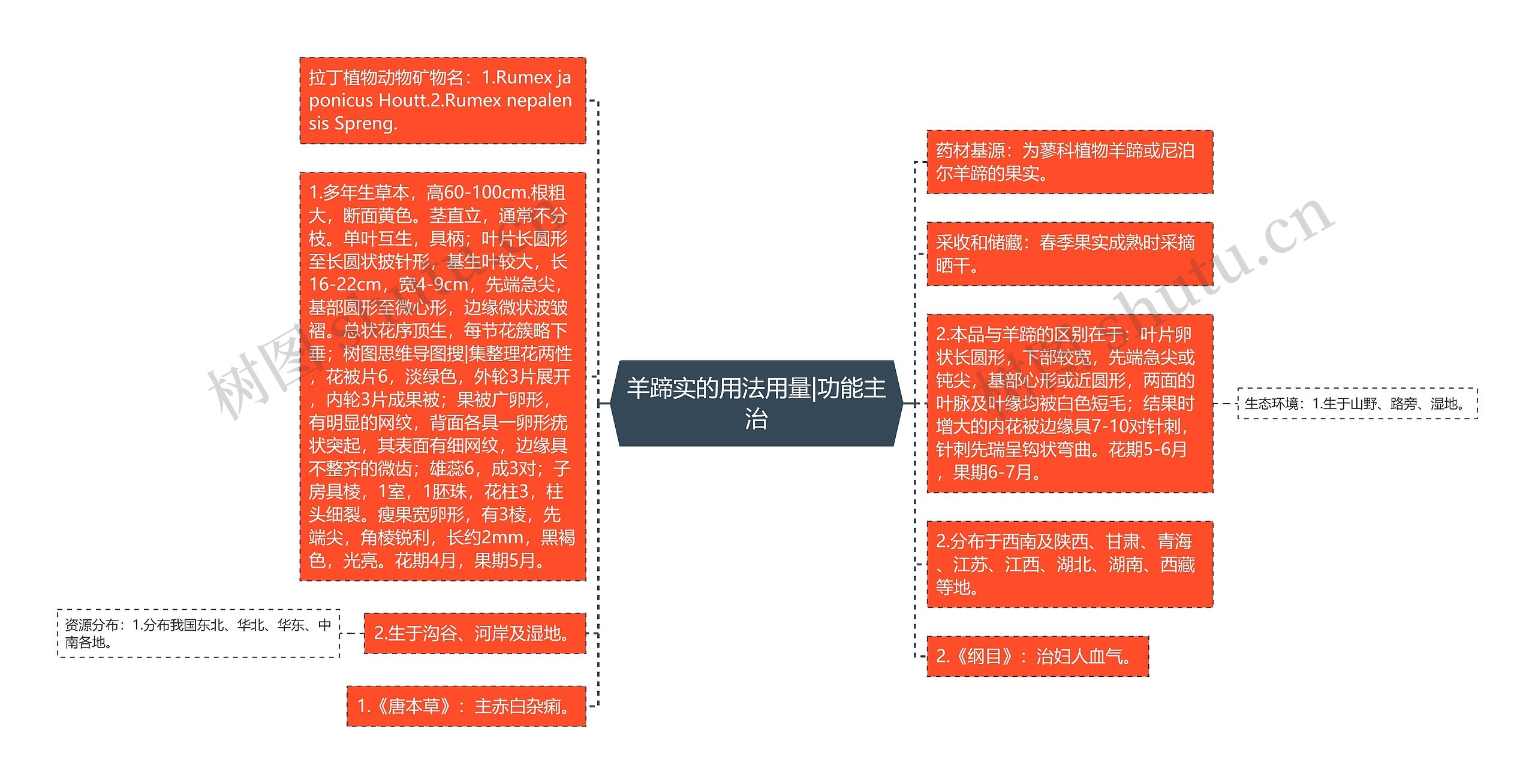 羊蹄实的用法用量|功能主治 羊蹄实的用法用量|功能主治