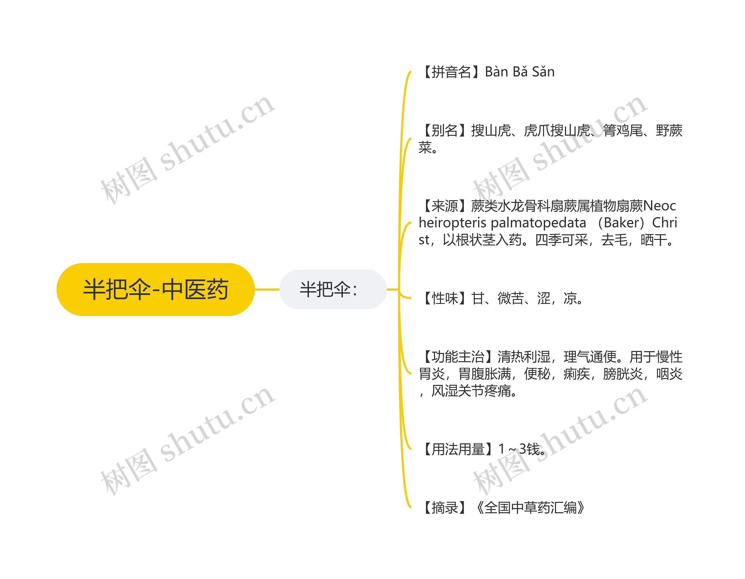 半把伞-中医药思维导图