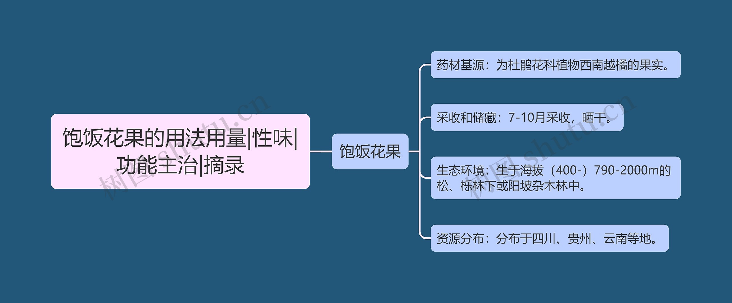 饱饭花果的用法用量|性味|功能主治|摘录思维导图