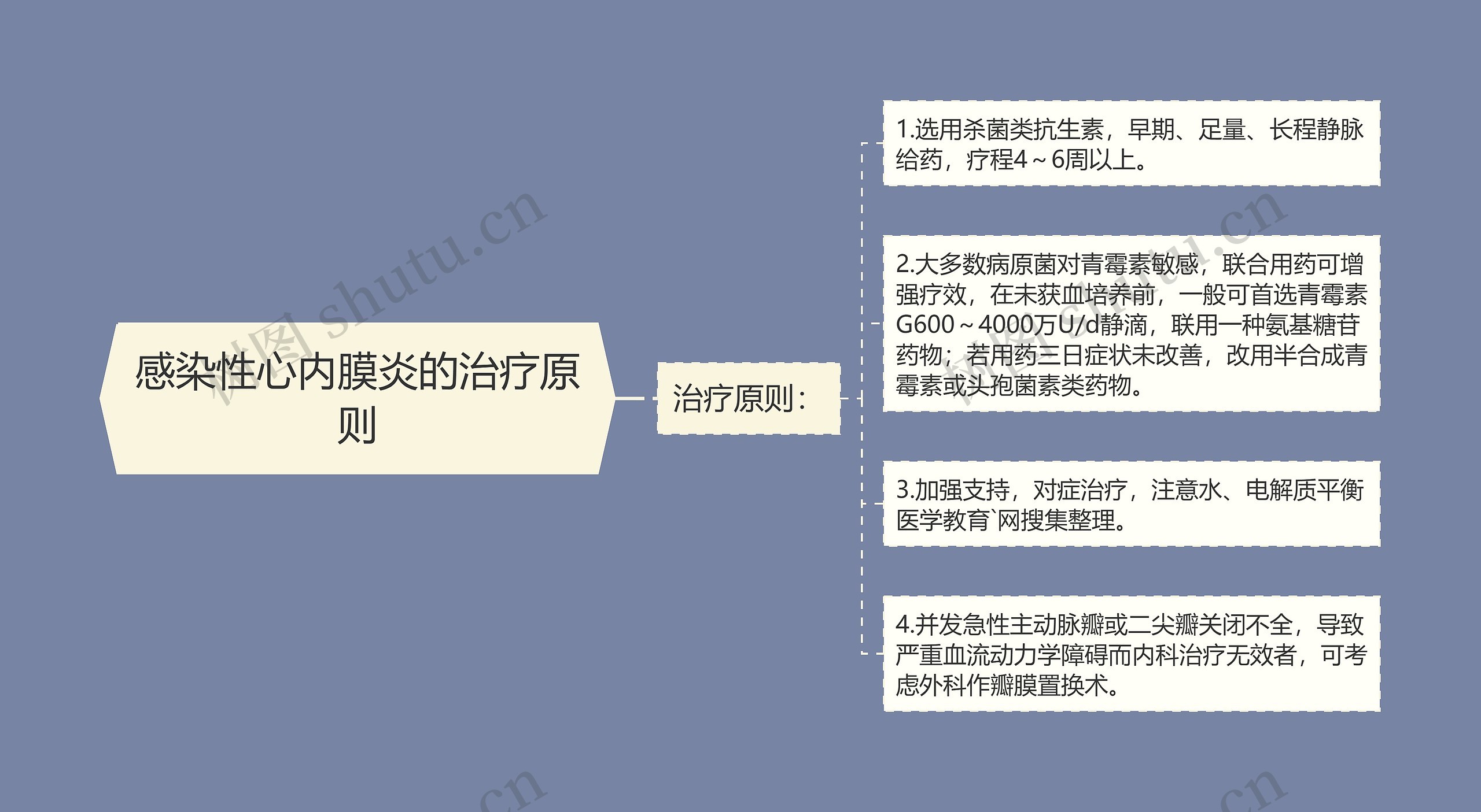 感染性心内膜炎的治疗原则思维导图