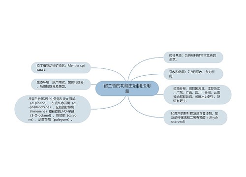 留兰香的功能主治|用法用量