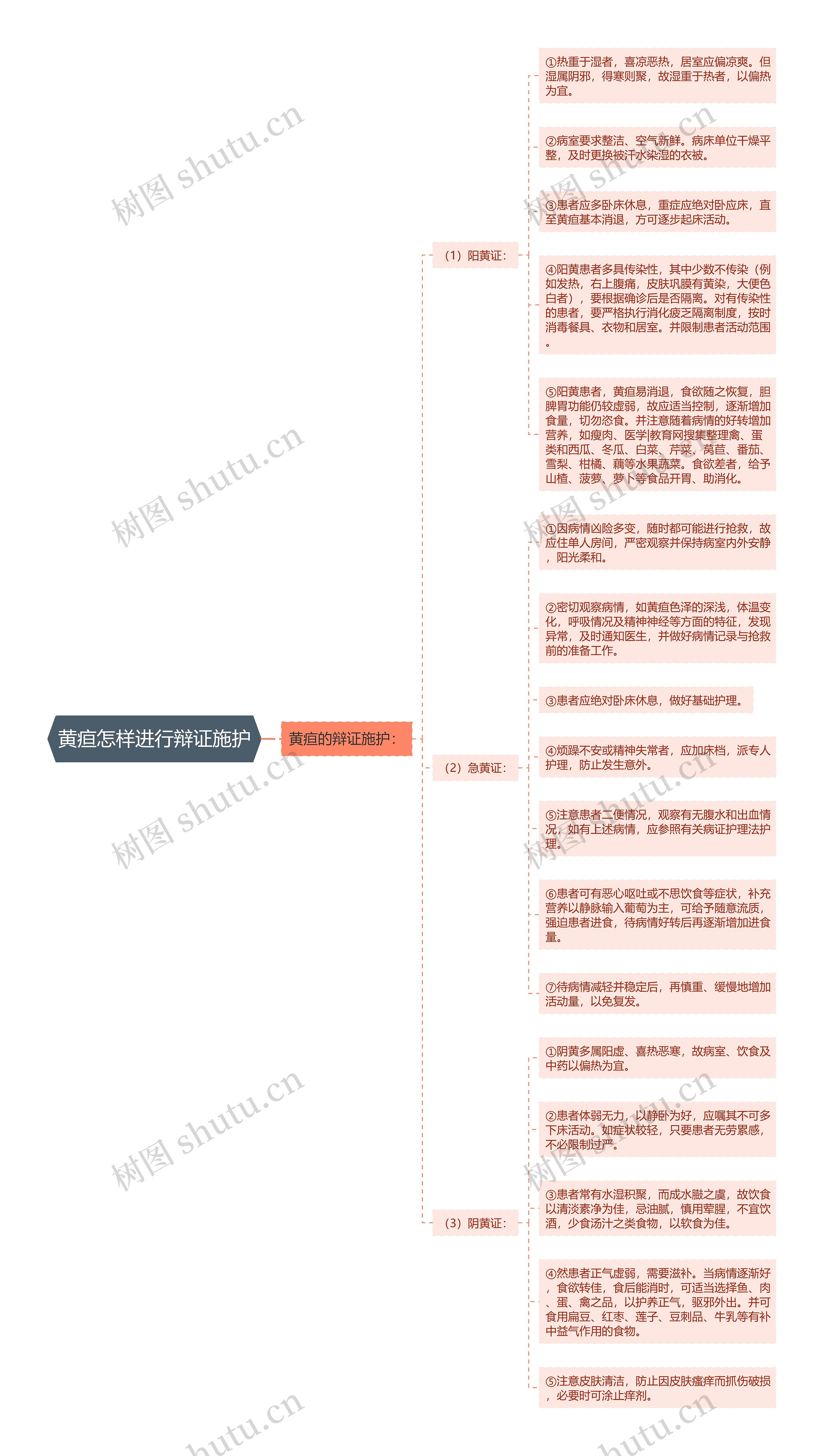 黄疸怎样进行辩证施护思维导图