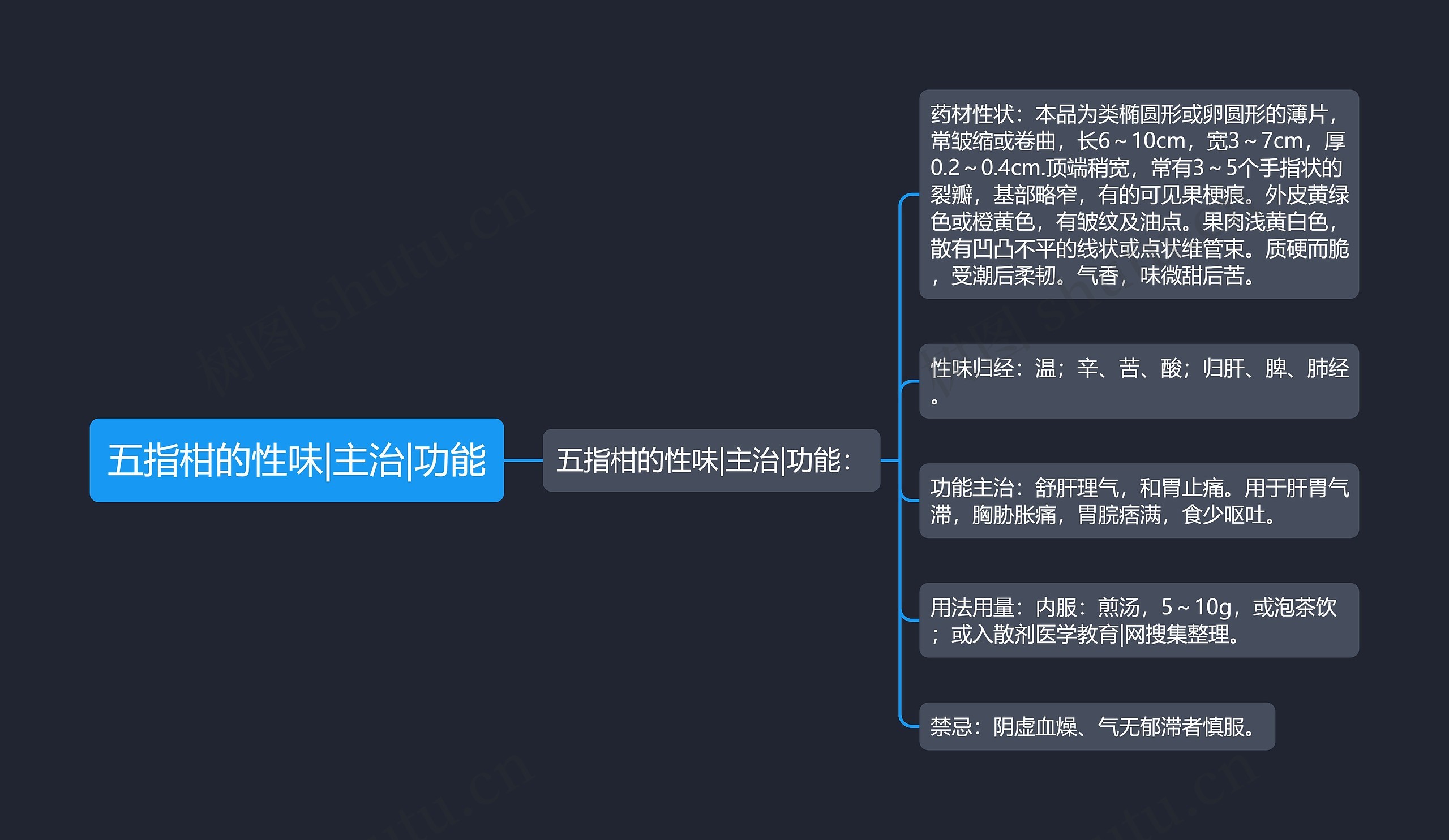 五指柑的性味|主治|功能思维导图