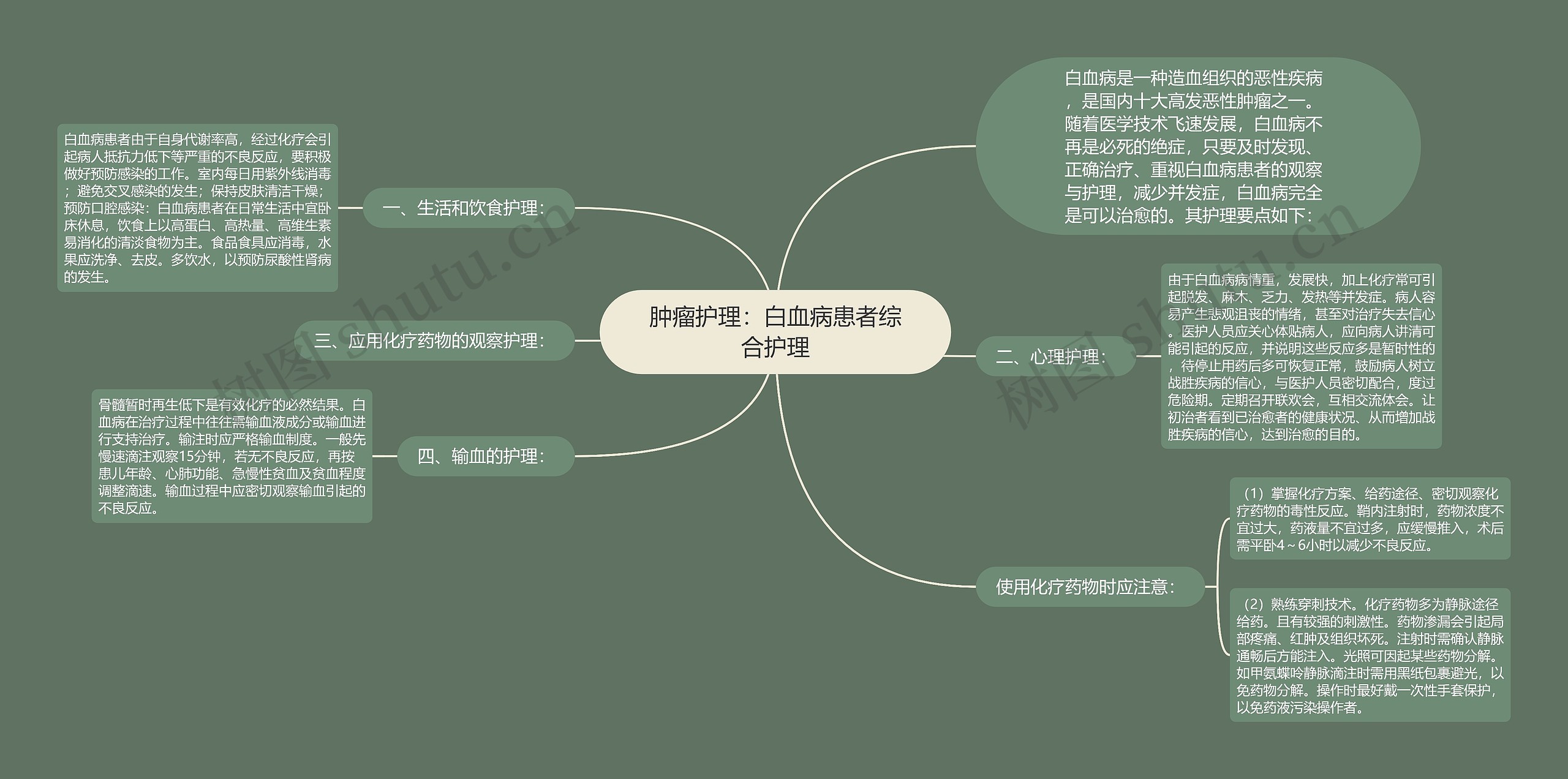 肿瘤护理：白血病患者综合护理