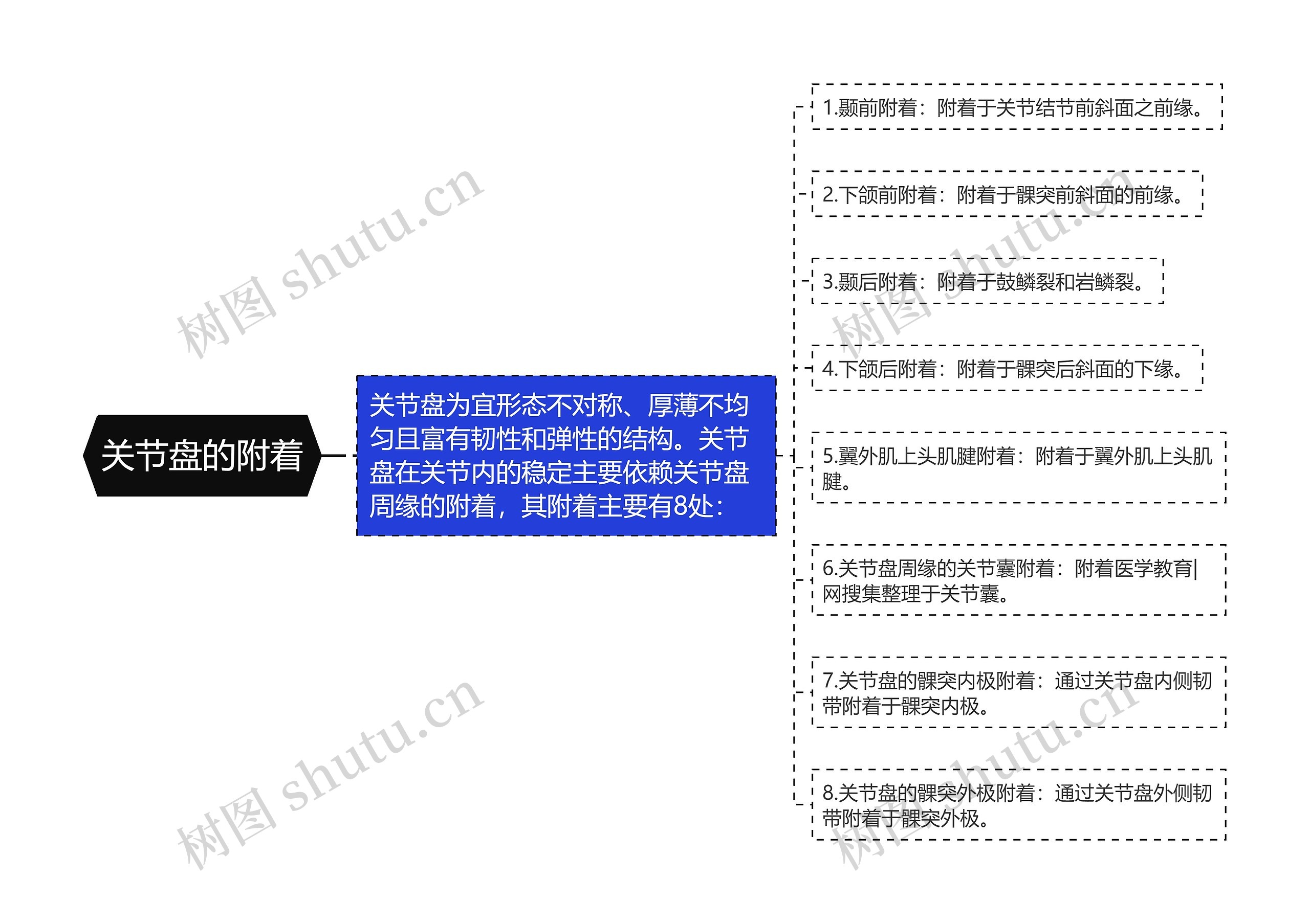 关节盘的附着思维导图