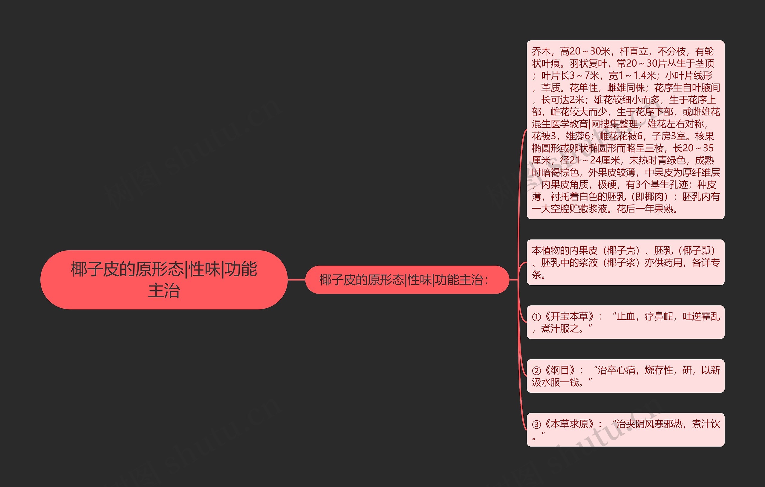 椰子皮的原形态|性味|功能主治 椰子皮的原形态|性味|功能主治