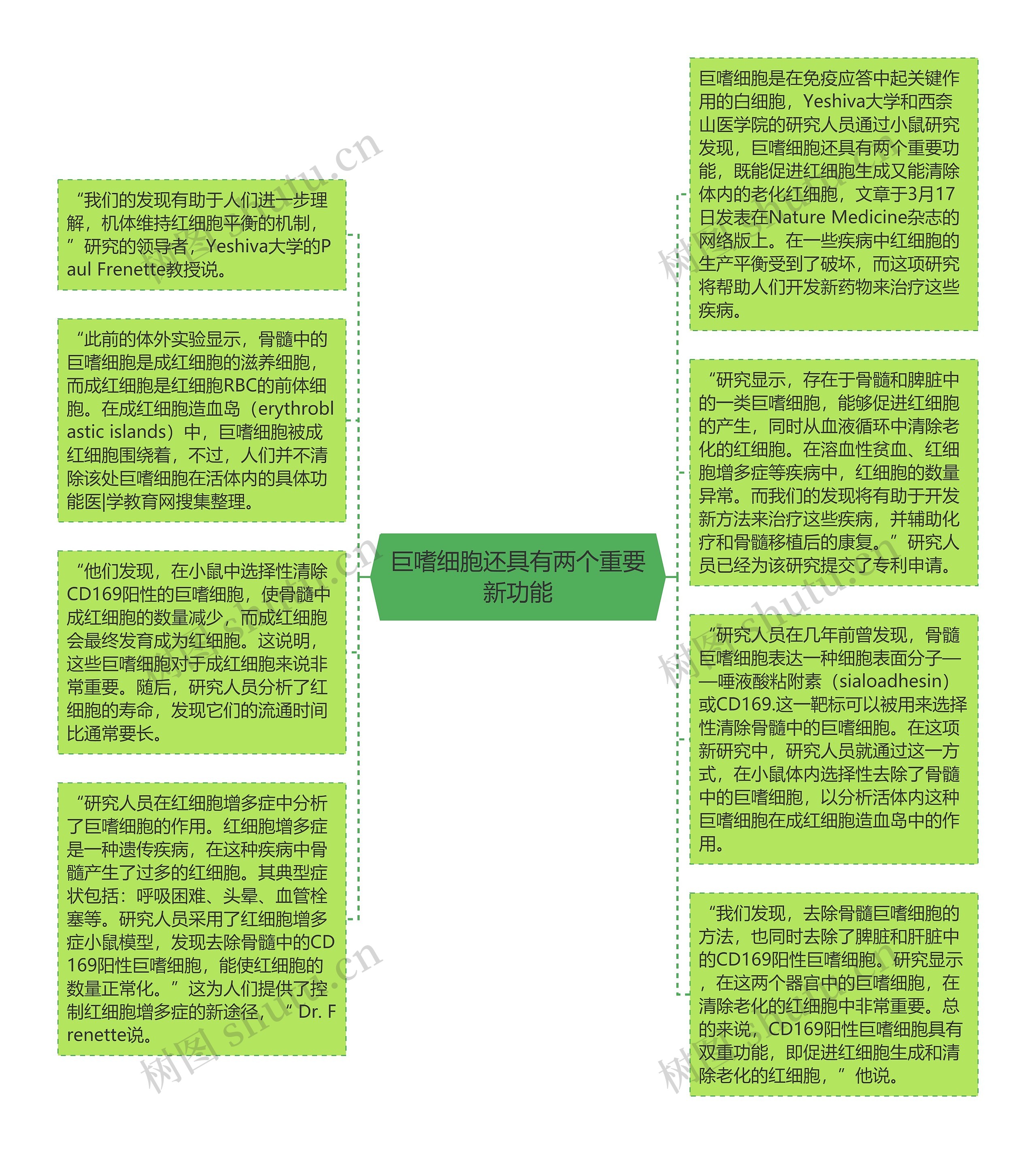 巨嗜细胞还具有两个重要新功能