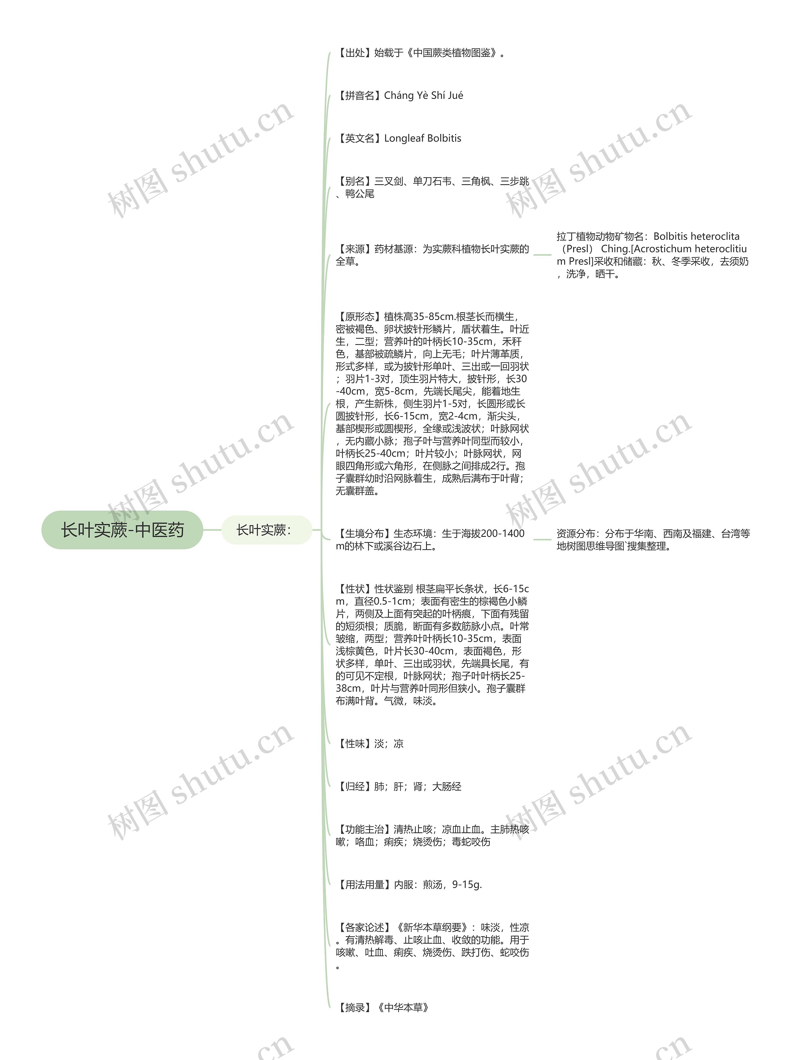长叶实蕨-中医药思维导图