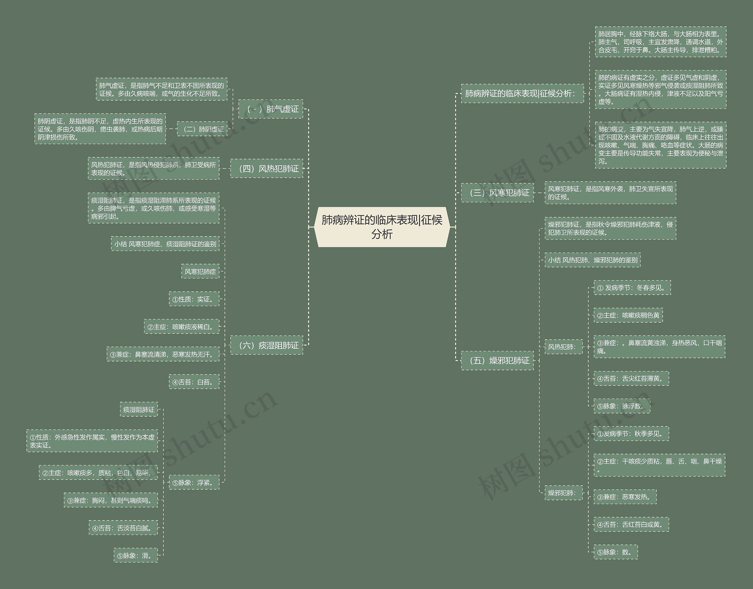 肺病辨证的临床表现|征候分析 肺病辨证的临床表现|征候分析