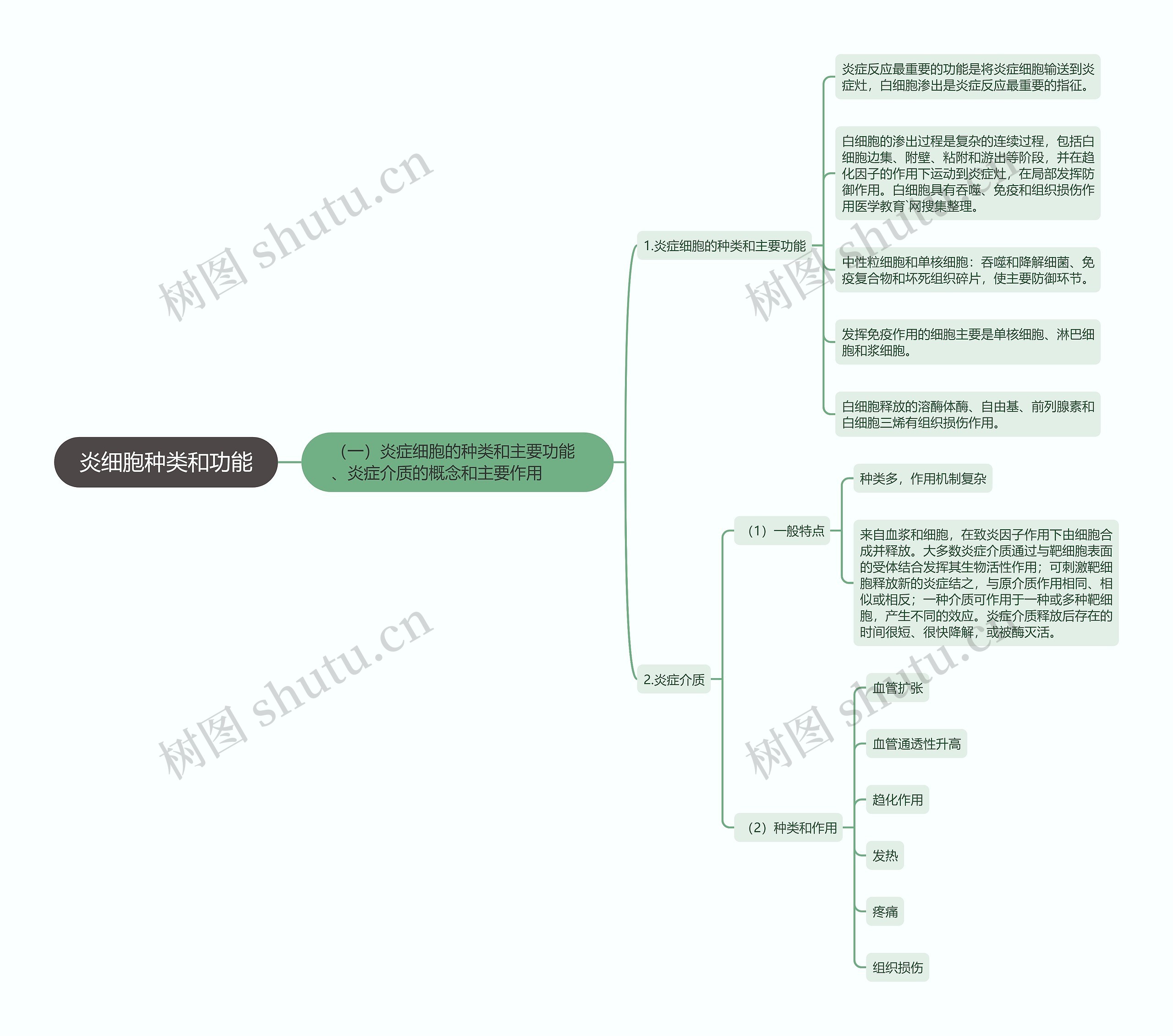 炎细胞种类和功能思维导图