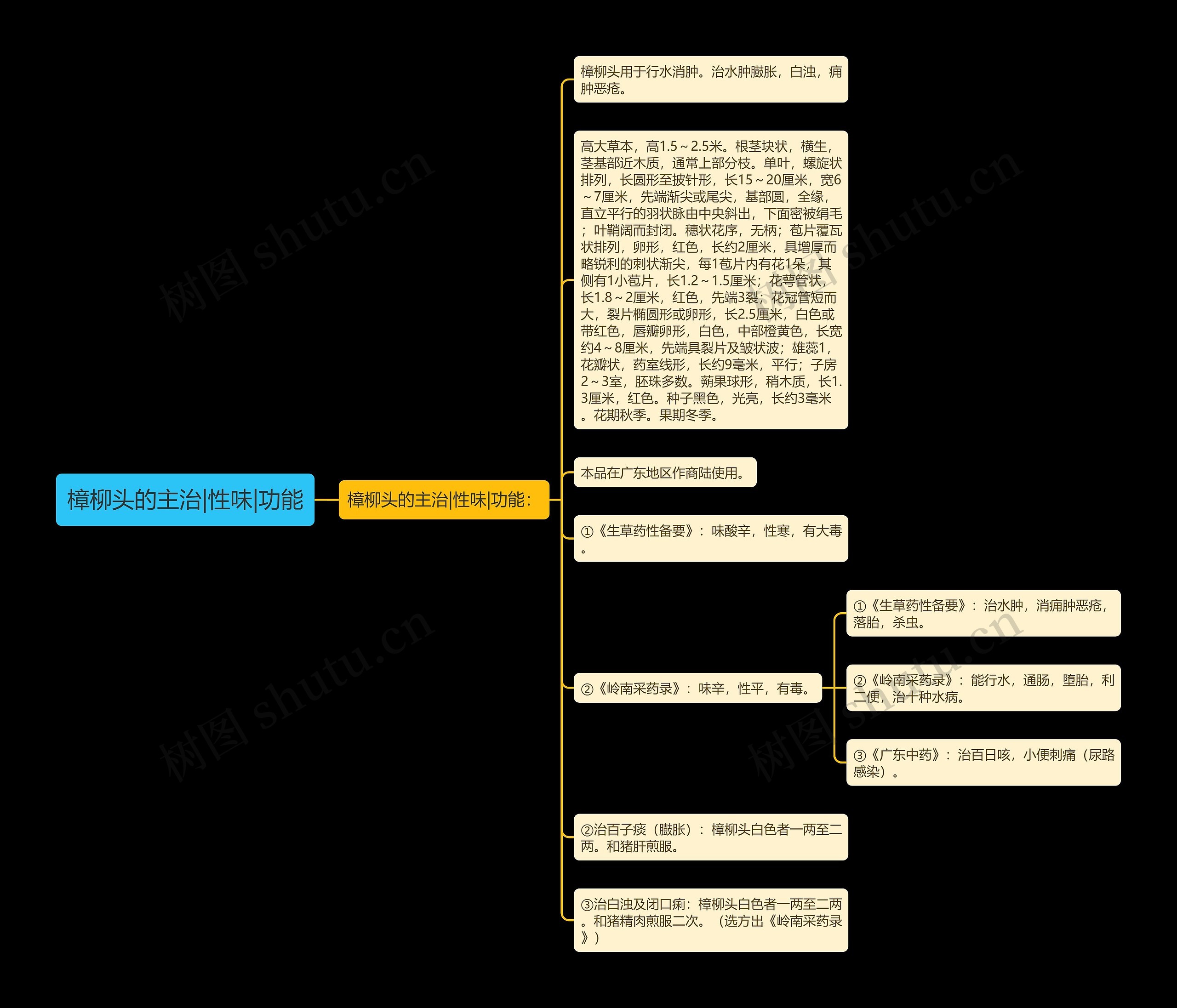 樟柳头的主治|性味|功能 樟柳头的主治|性味|功能