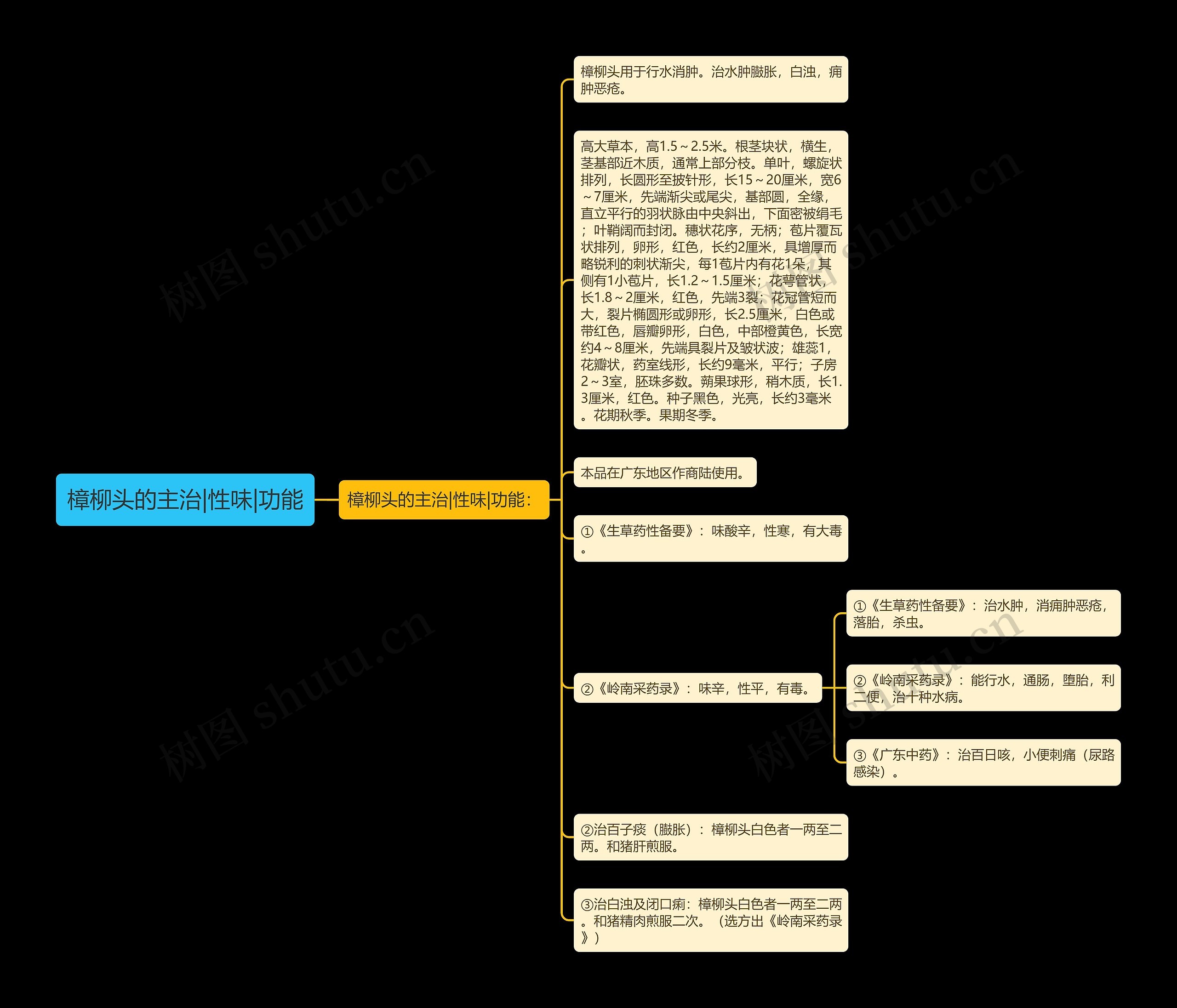 樟柳头的主治|性味|功能思维导图