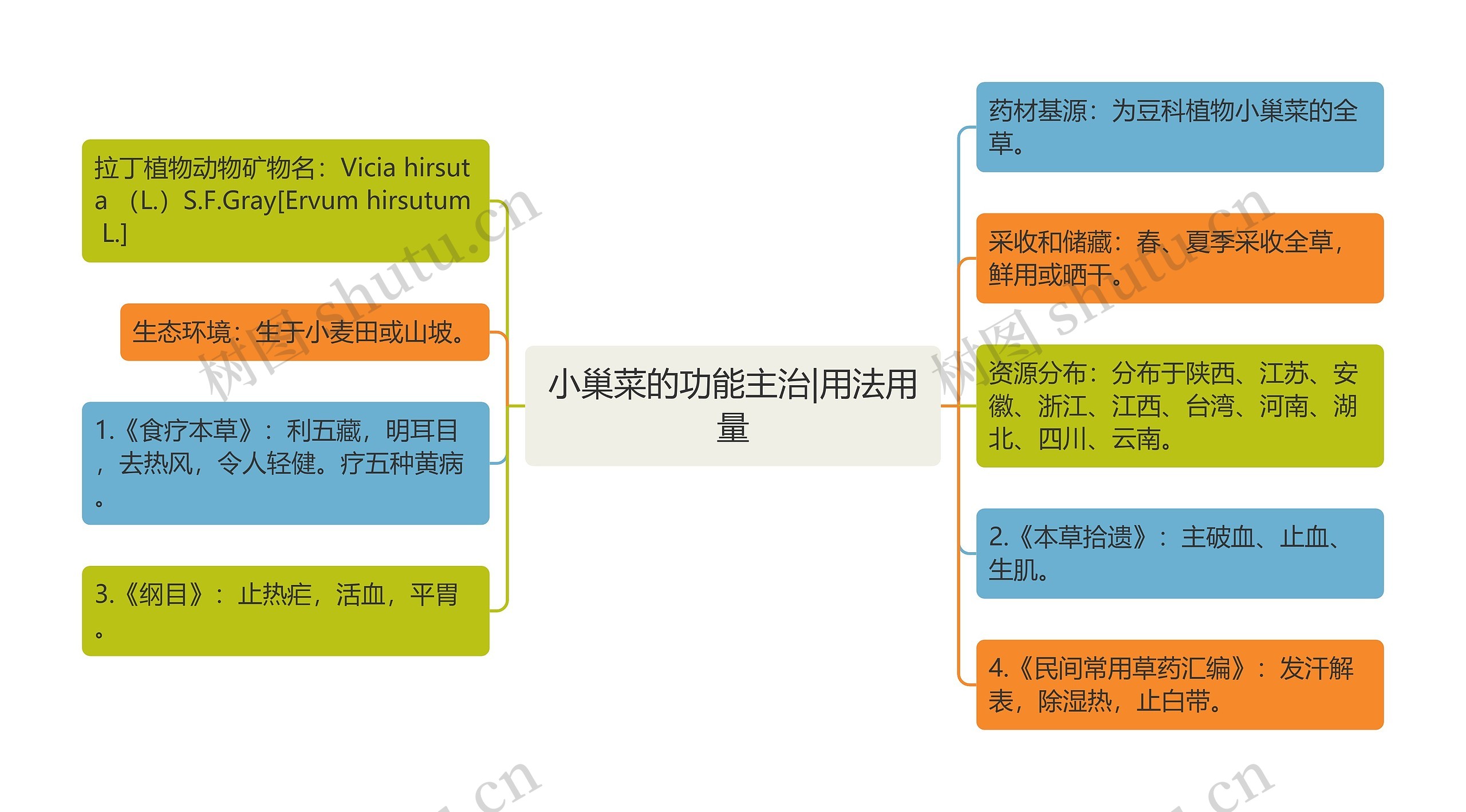 小巢菜的功能主治|用法用量思维导图