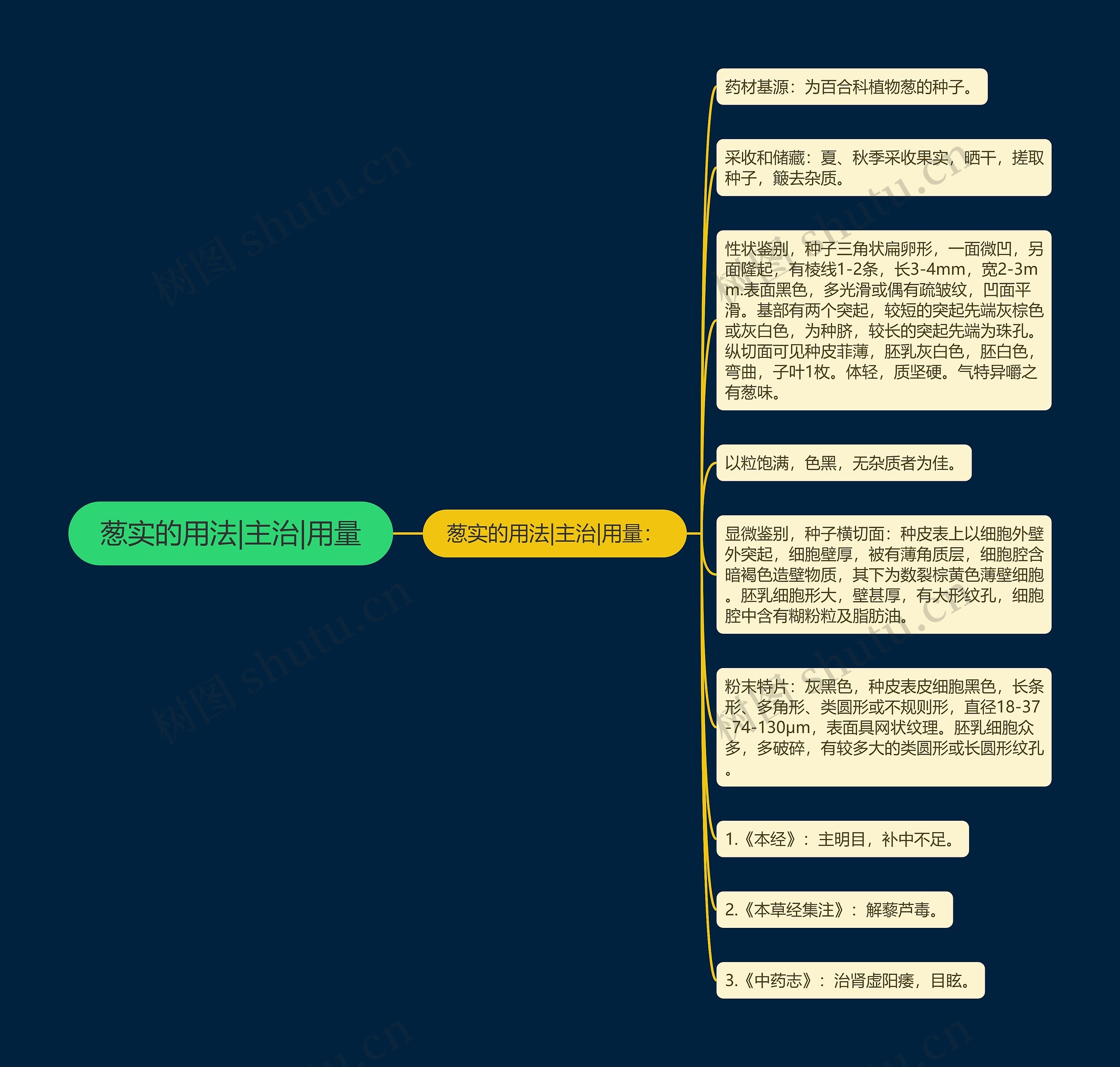 葱实的用法|主治|用量思维导图