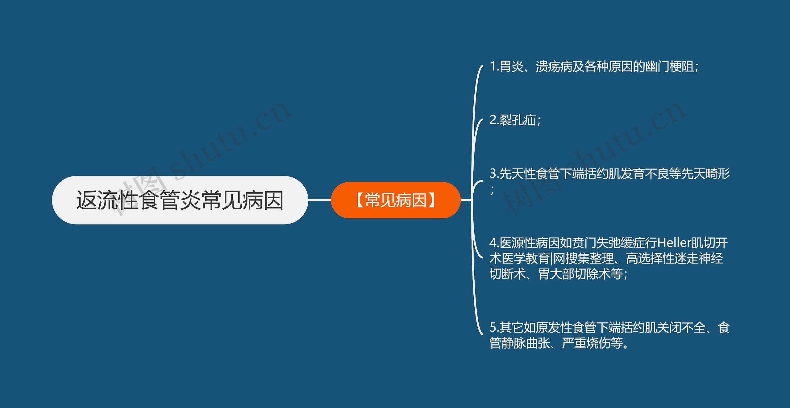 返流性食管炎常见病因