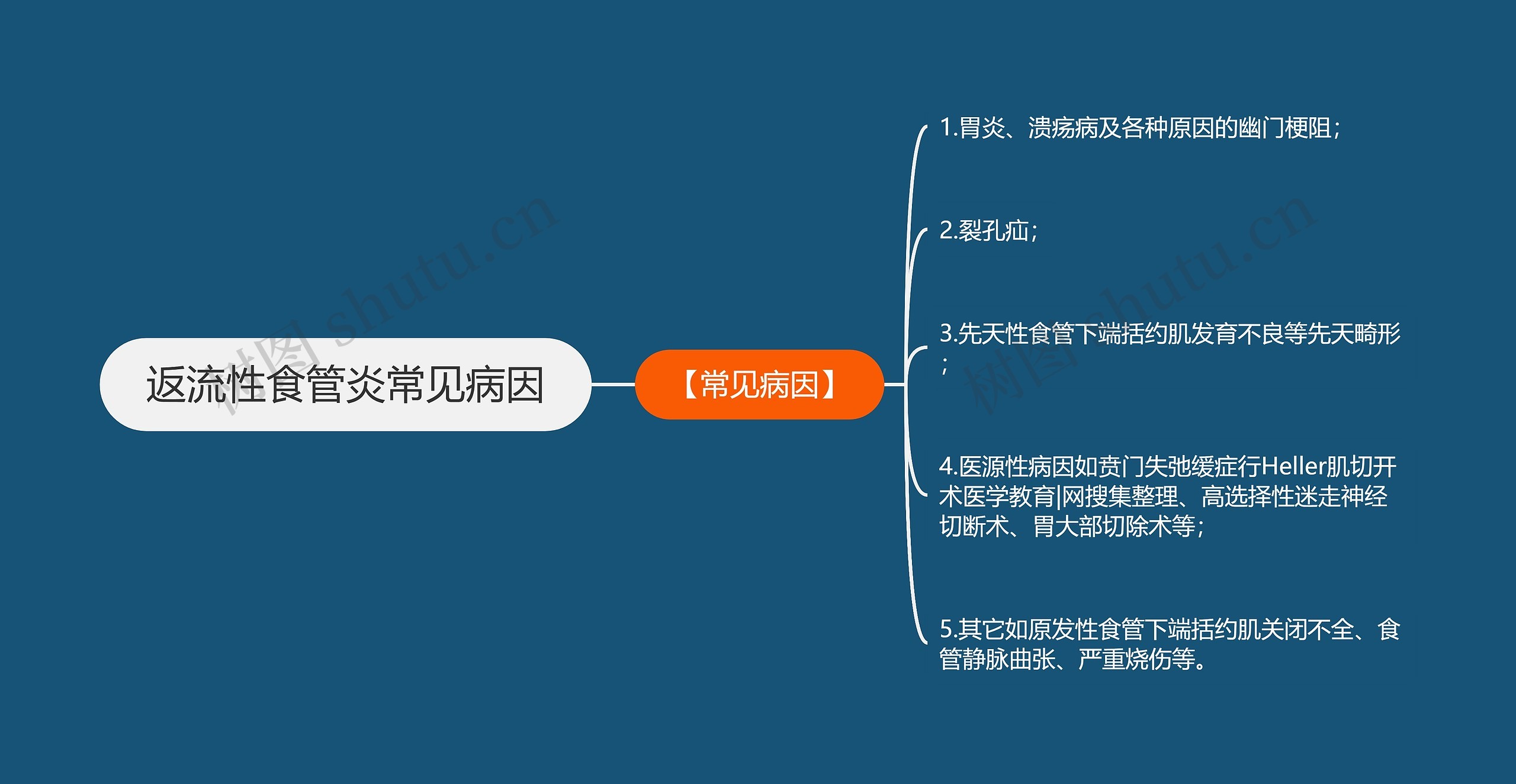 返流性食管炎常见病因思维导图