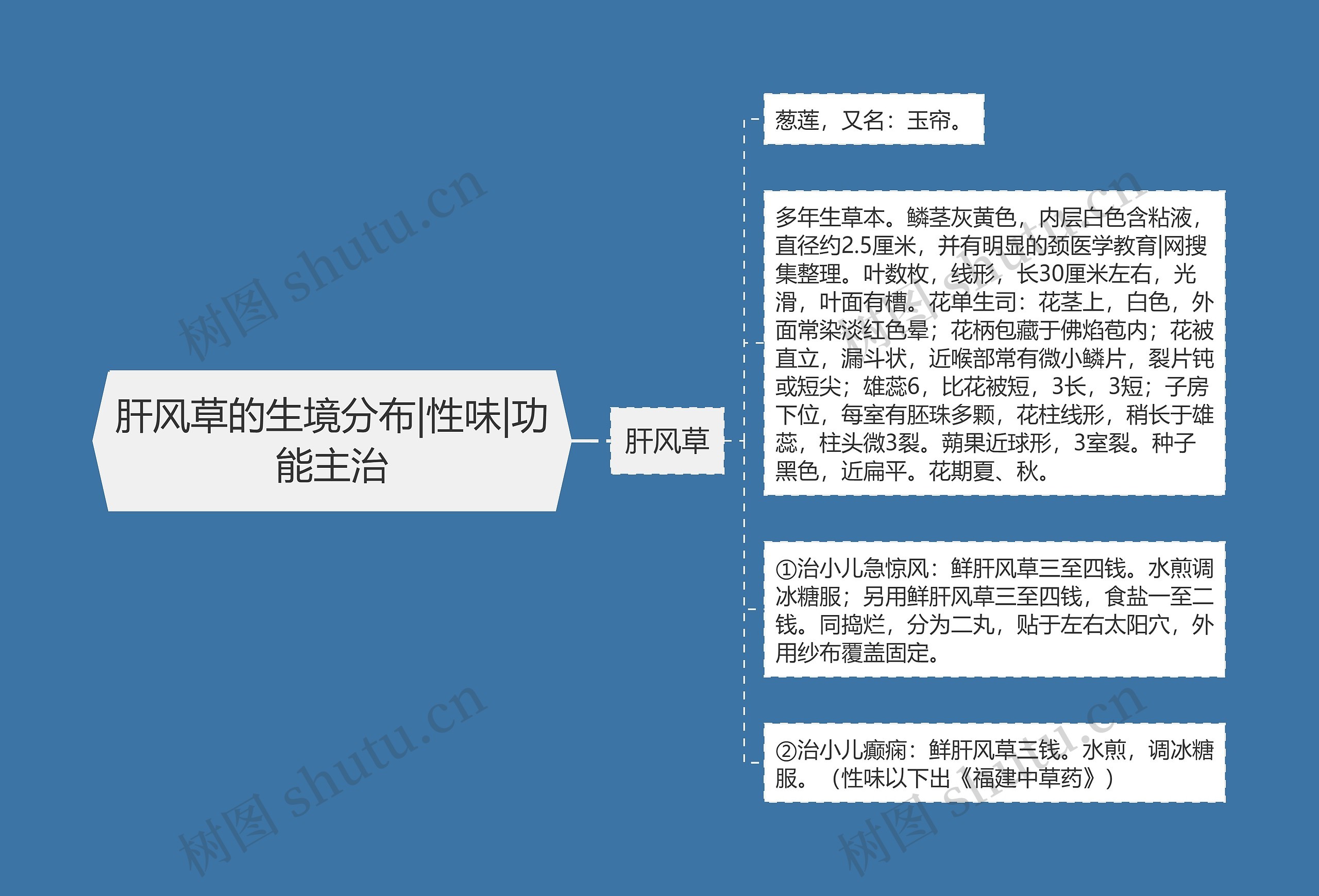 肝风草的生境分布|性味|功能主治思维导图