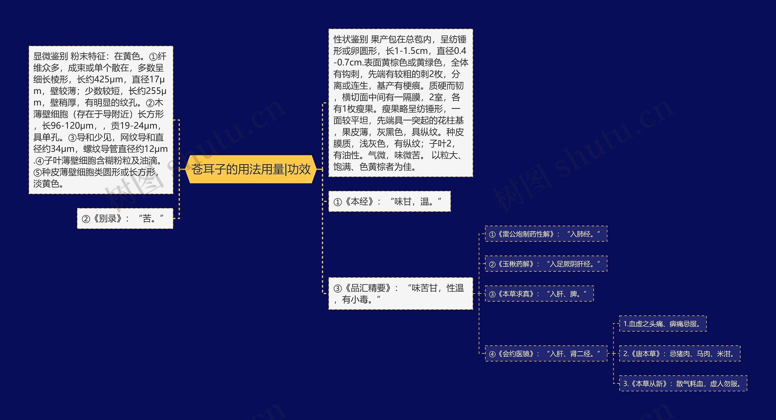 苍耳子的用法用量|功效思维导图