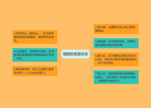硬腭的表面标志
